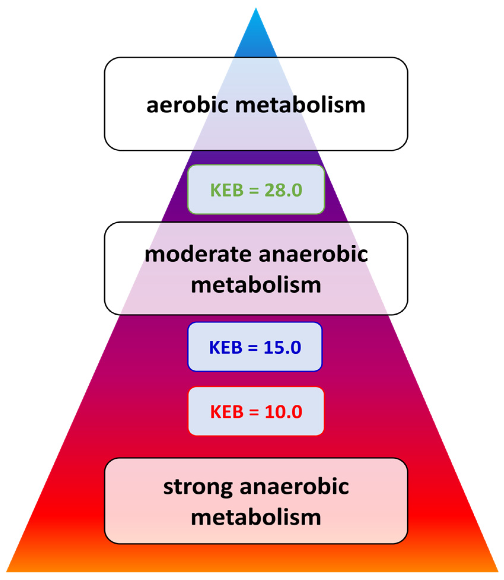 Biomedicines 12 00667 g001