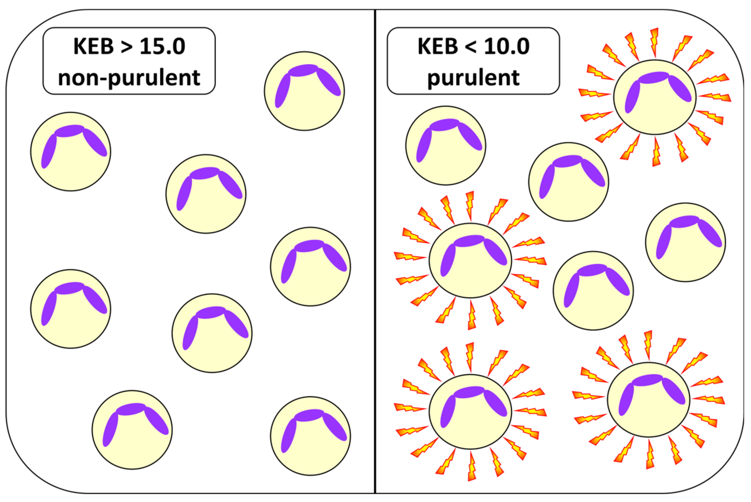 Biomedicines 12 00667 g002