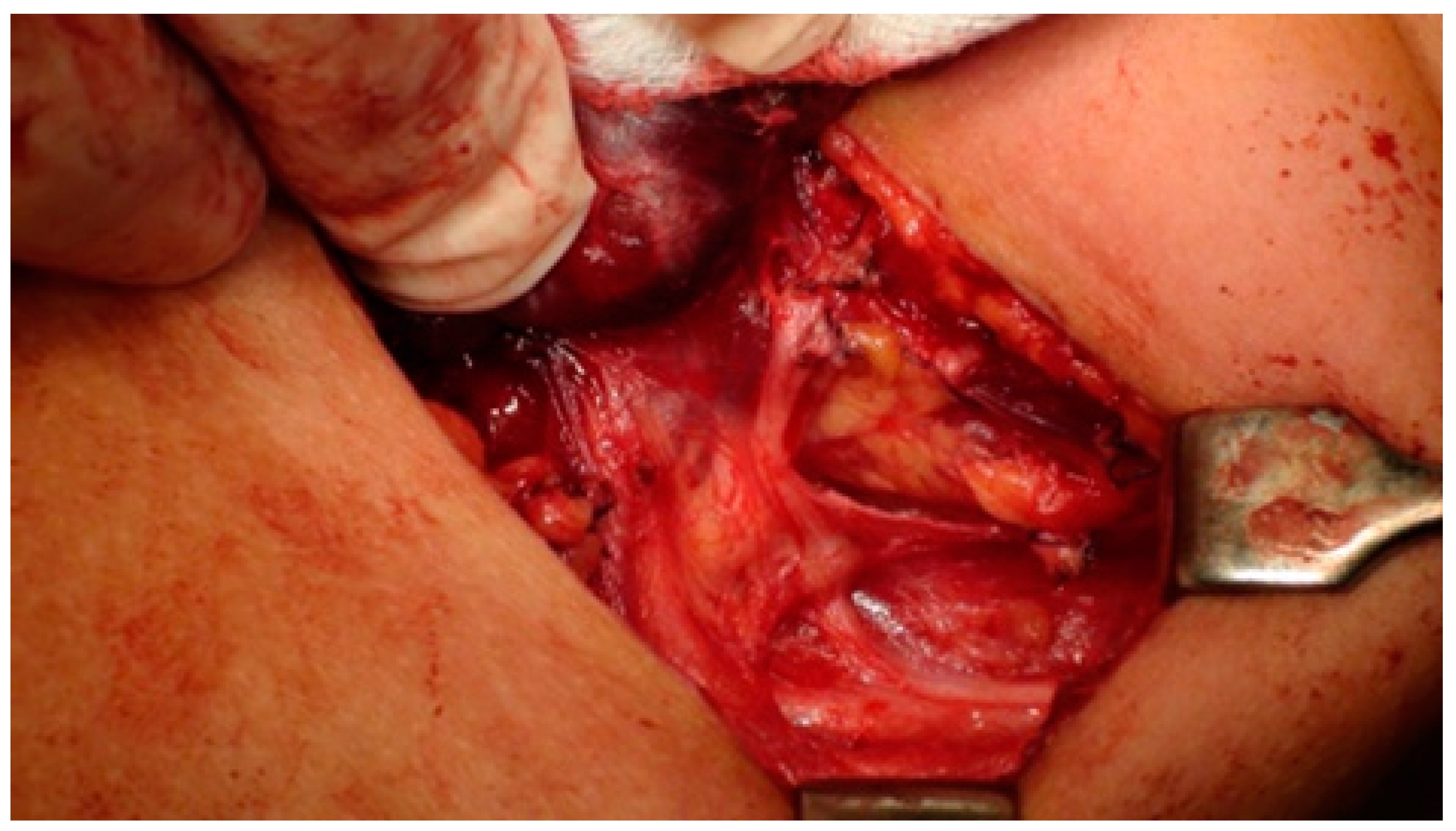 Biomedicines 12 00675 g002