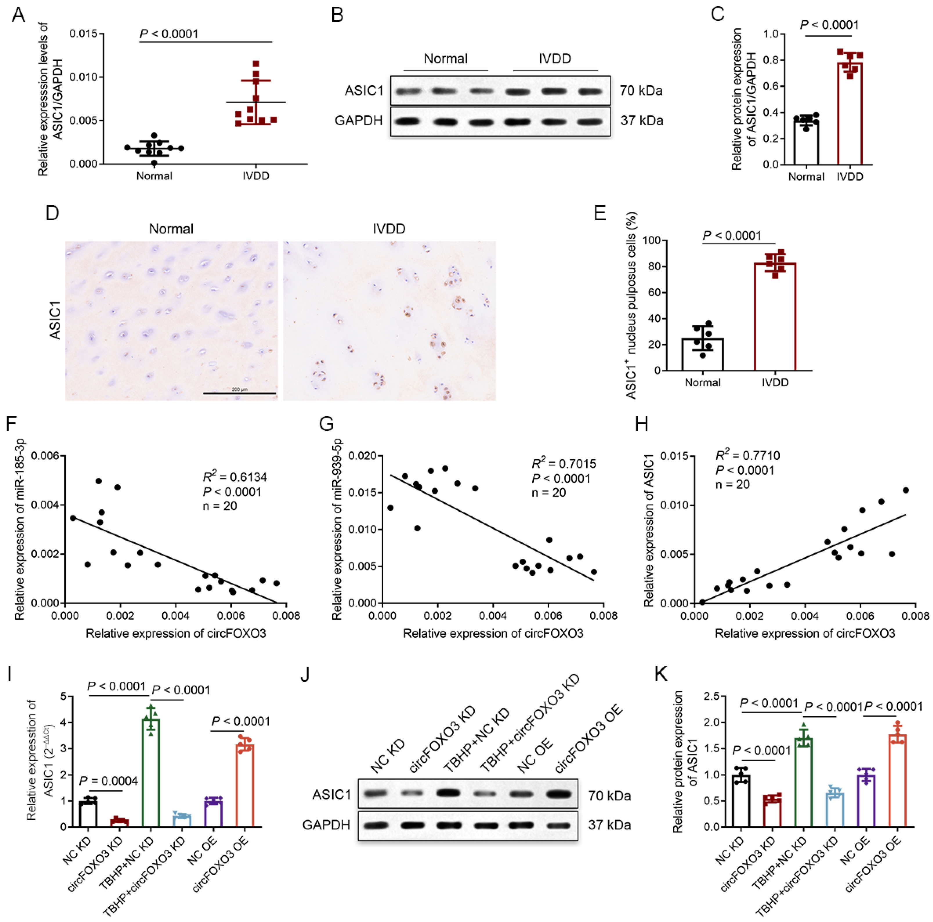 Biomedicines 12 00678 g006