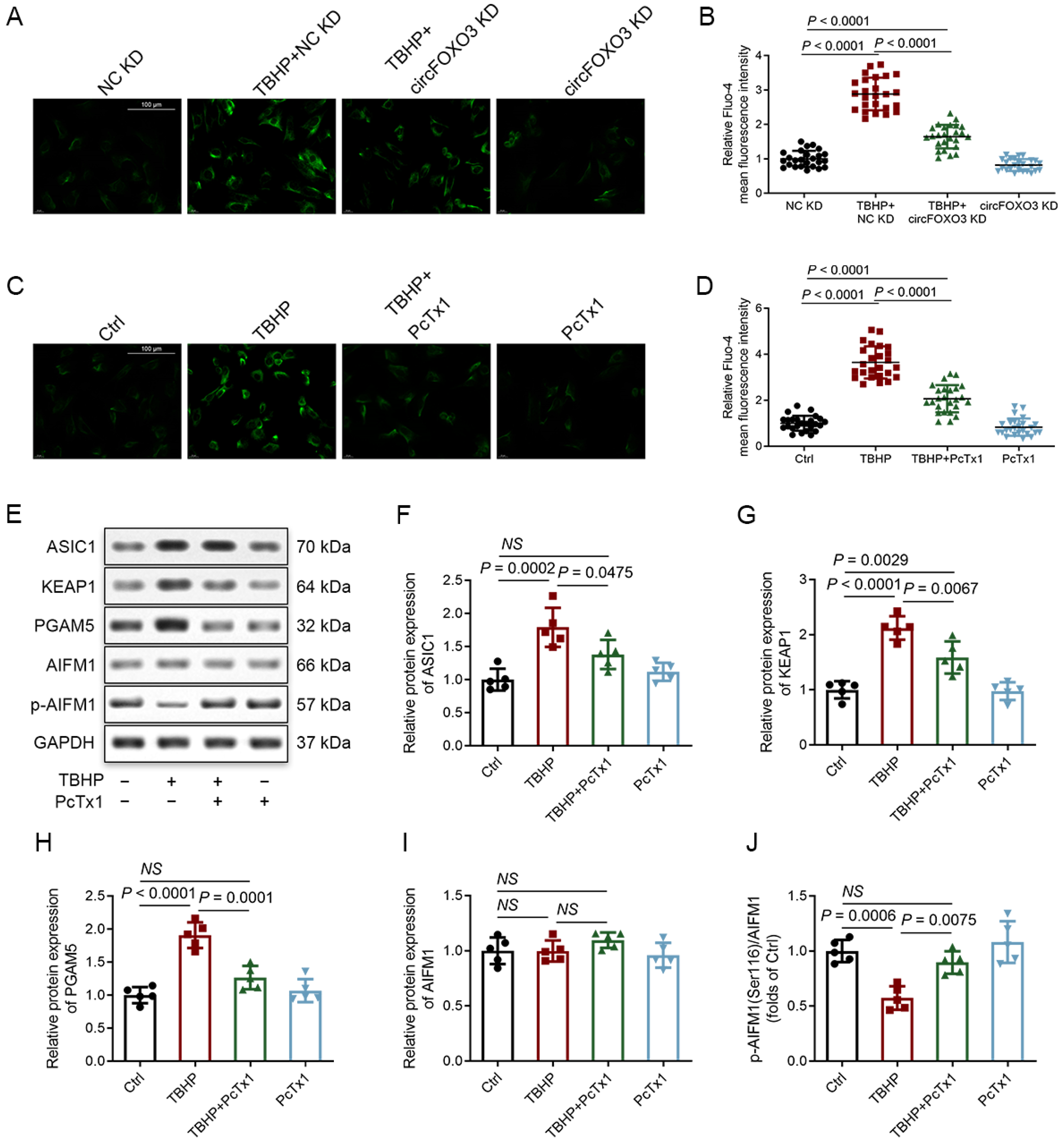 Biomedicines 12 00678 g007
