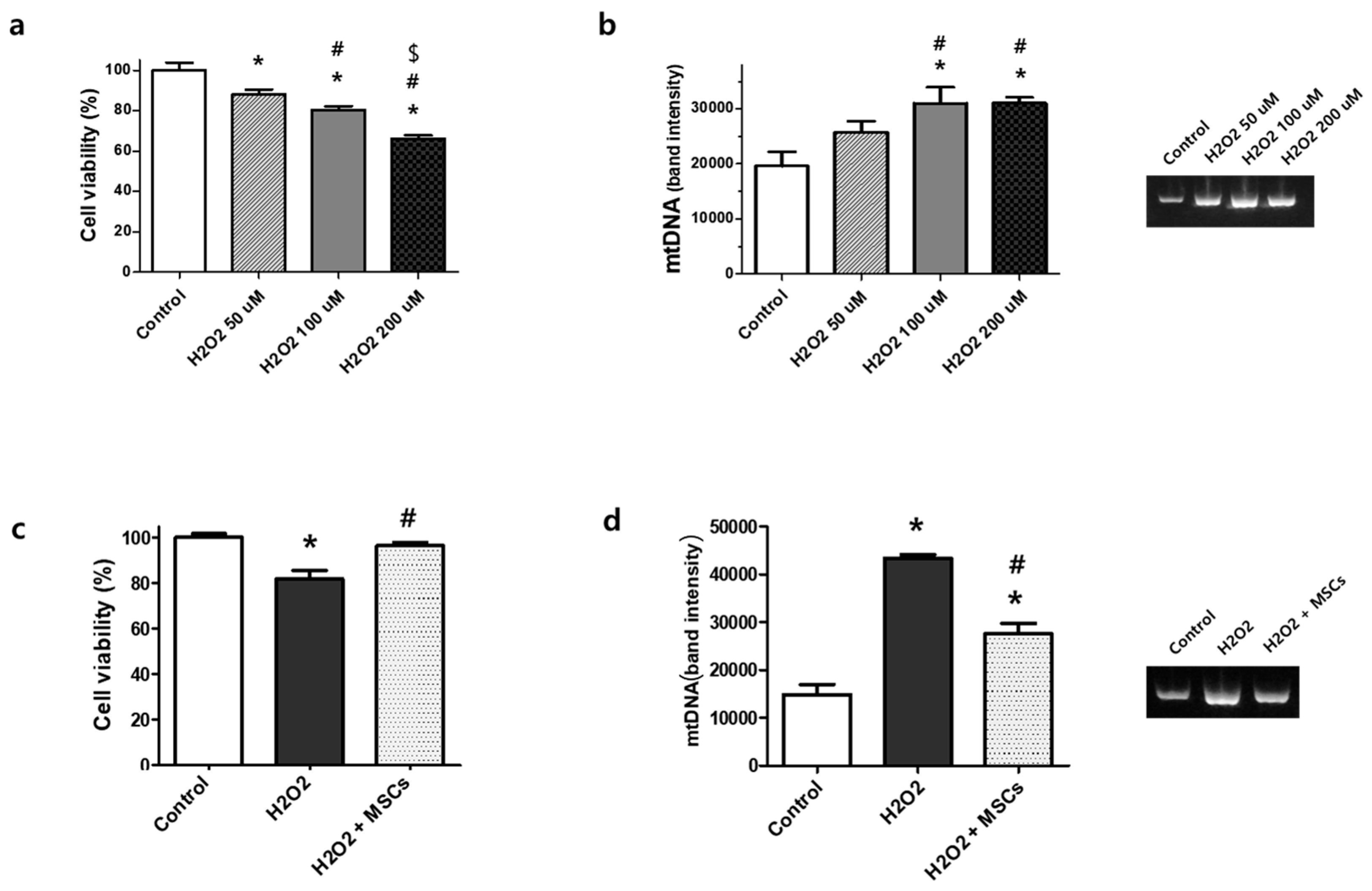 Biomedicines 12 00686 g001 Biomedicines 12 00686 g001
