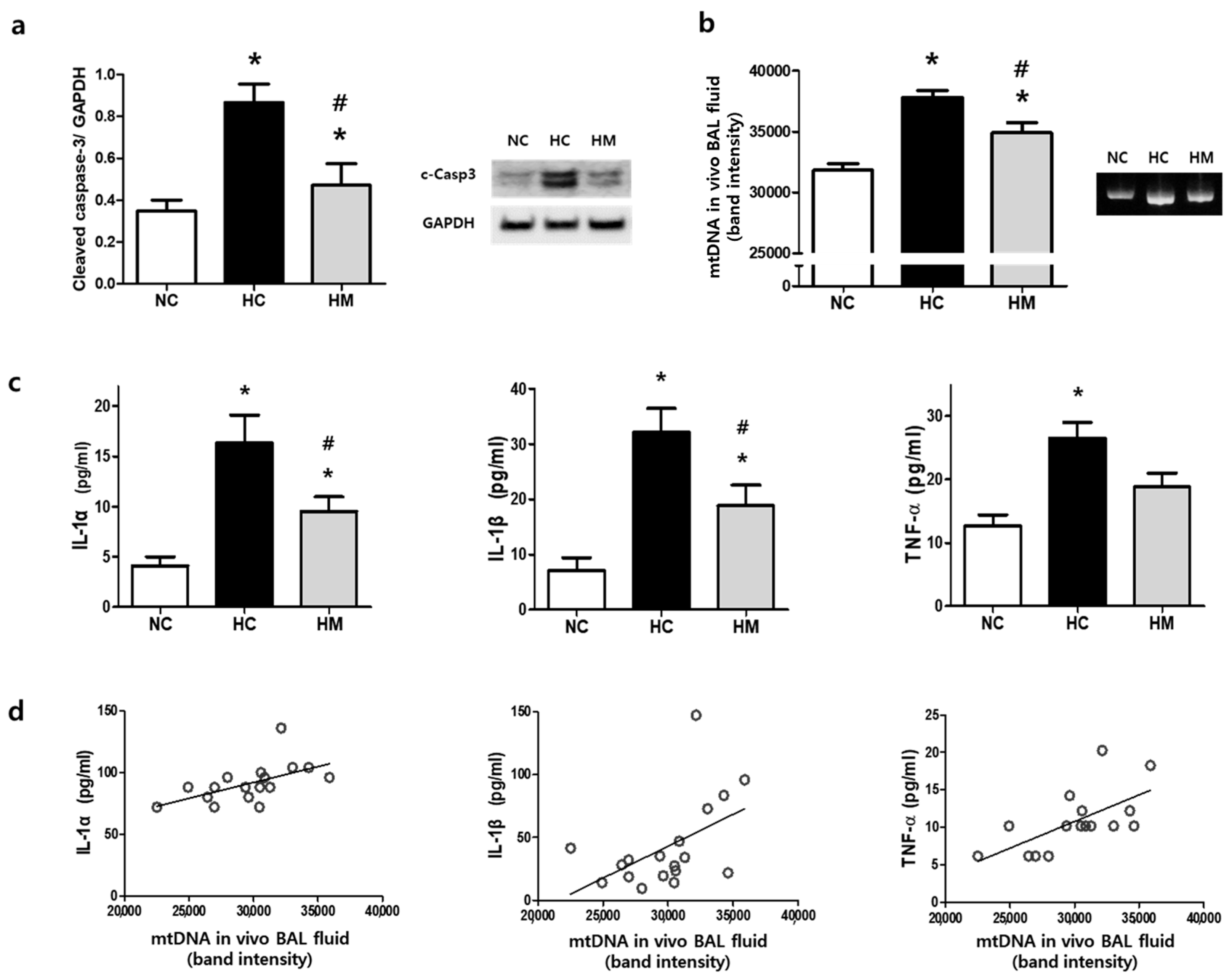 Biomedicines 12 00686 g002 Biomedicines 12 00686 g002