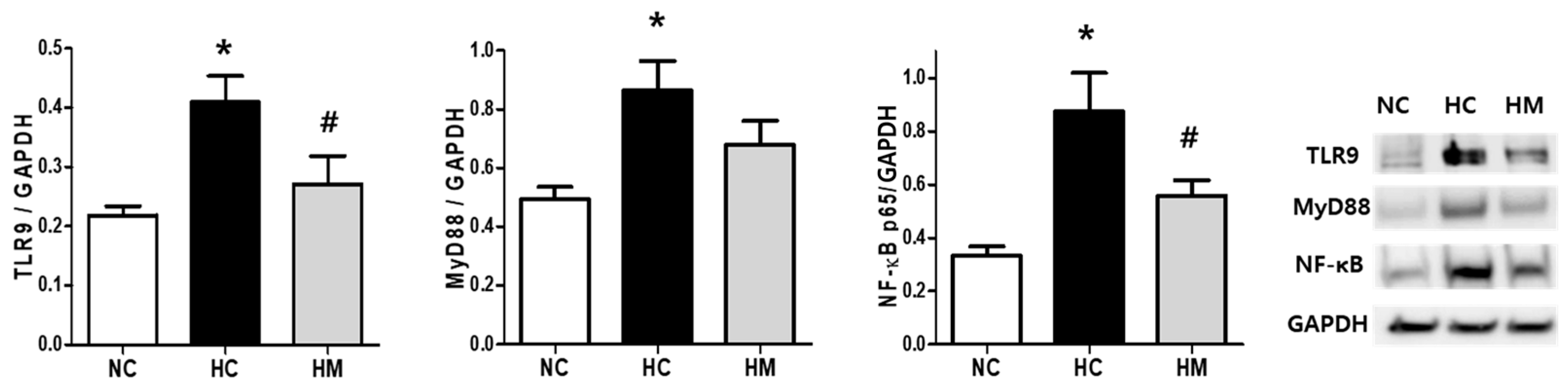 Biomedicines 12 00686 g003 Biomedicines 12 00686 g003