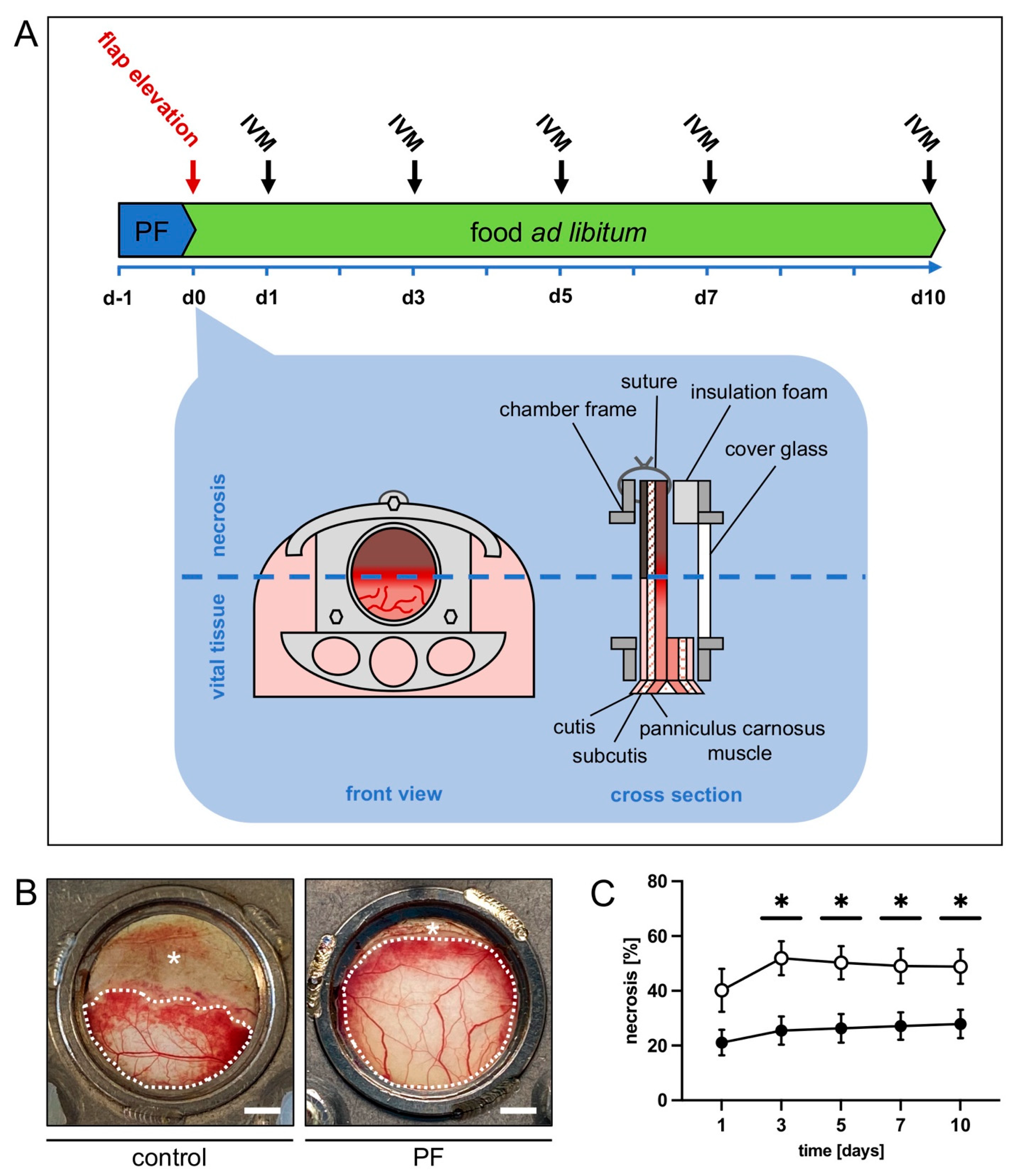 Biomedicines 12 00690 g001