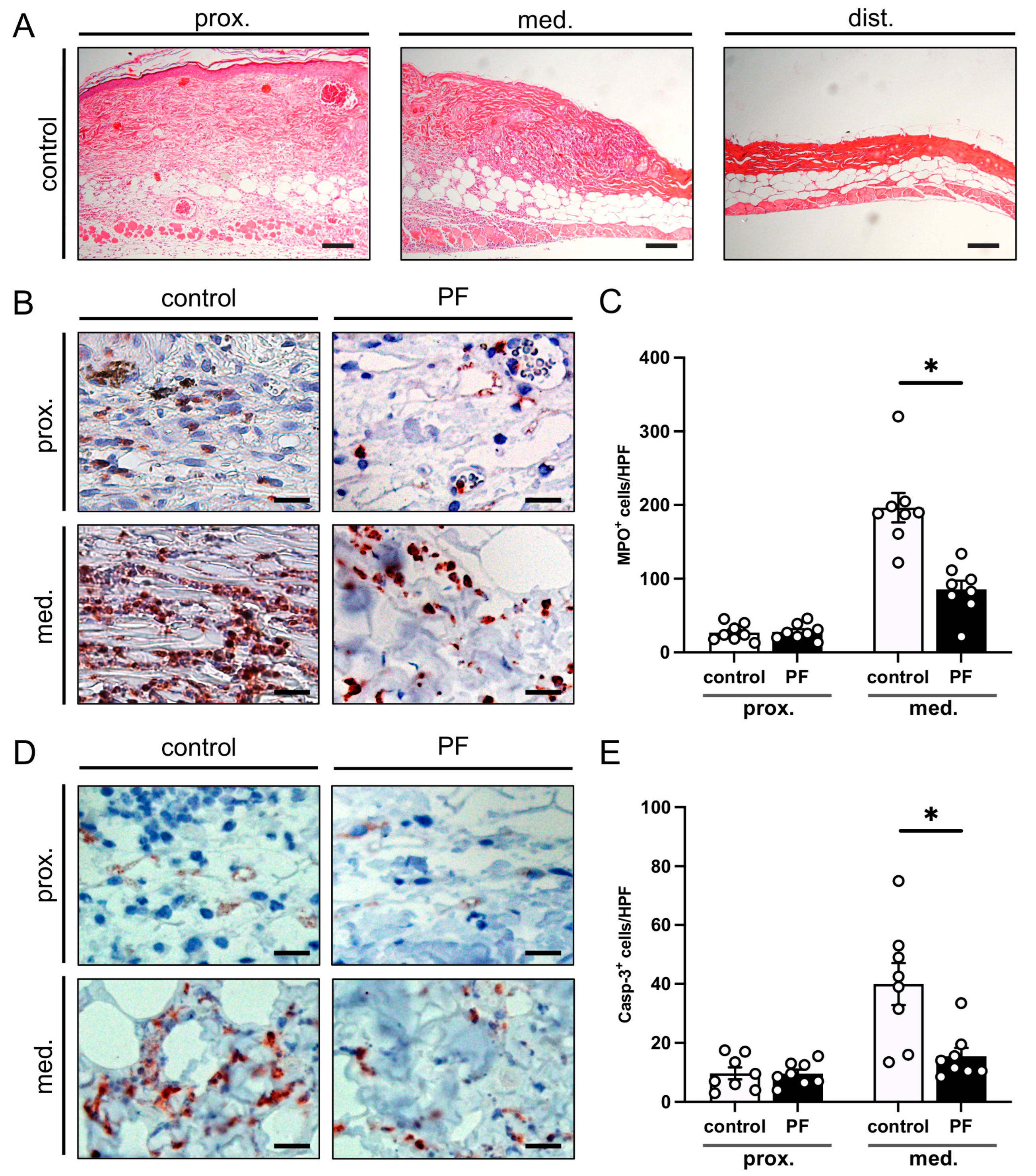 Biomedicines 12 00690 g004