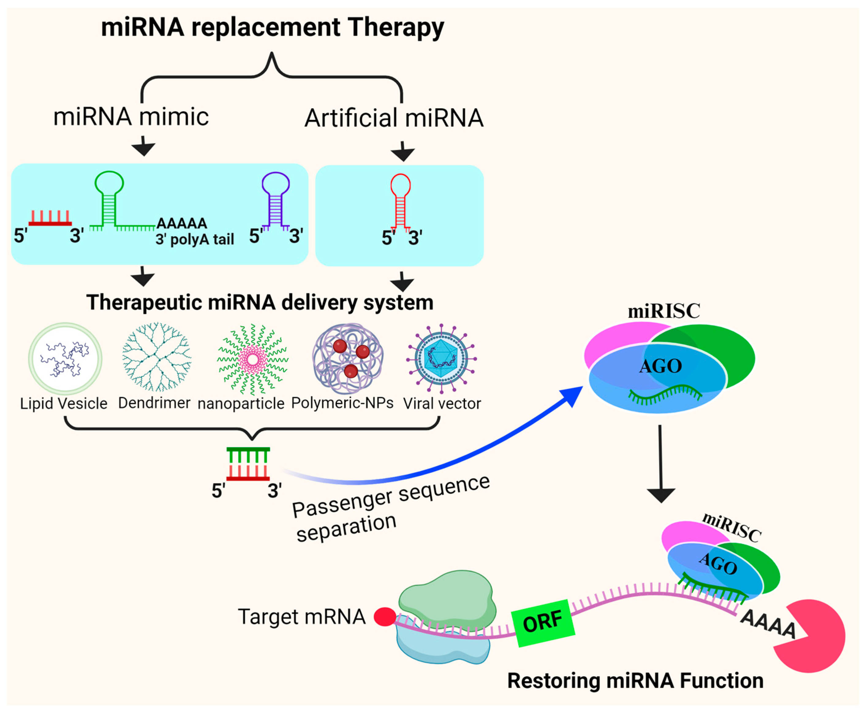 Biomedicines 12 00691 g003 Biomedicines 12 00691 g003