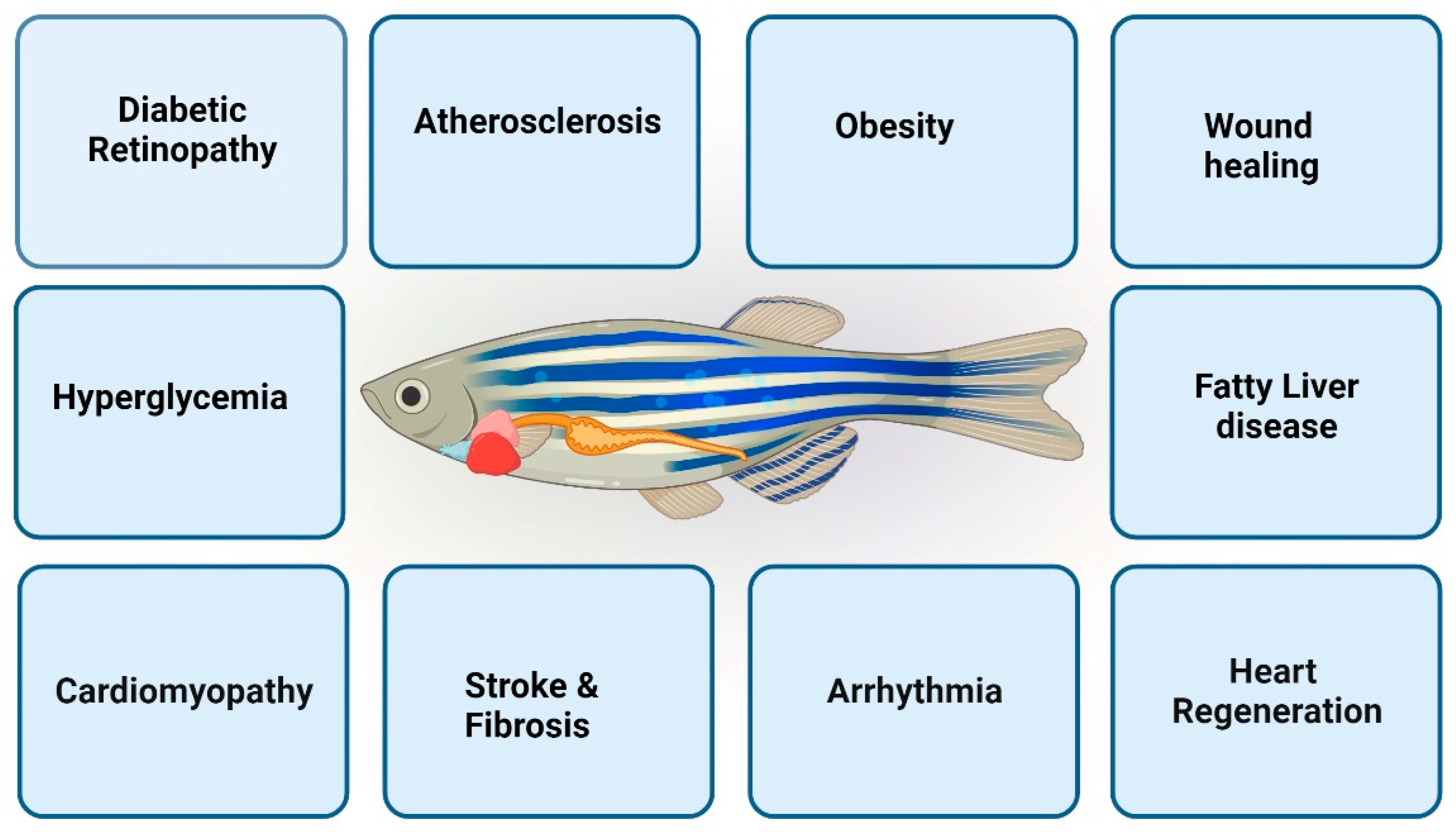 Biomedicines 12 00693 g001 Biomedicines 12 00693 g001