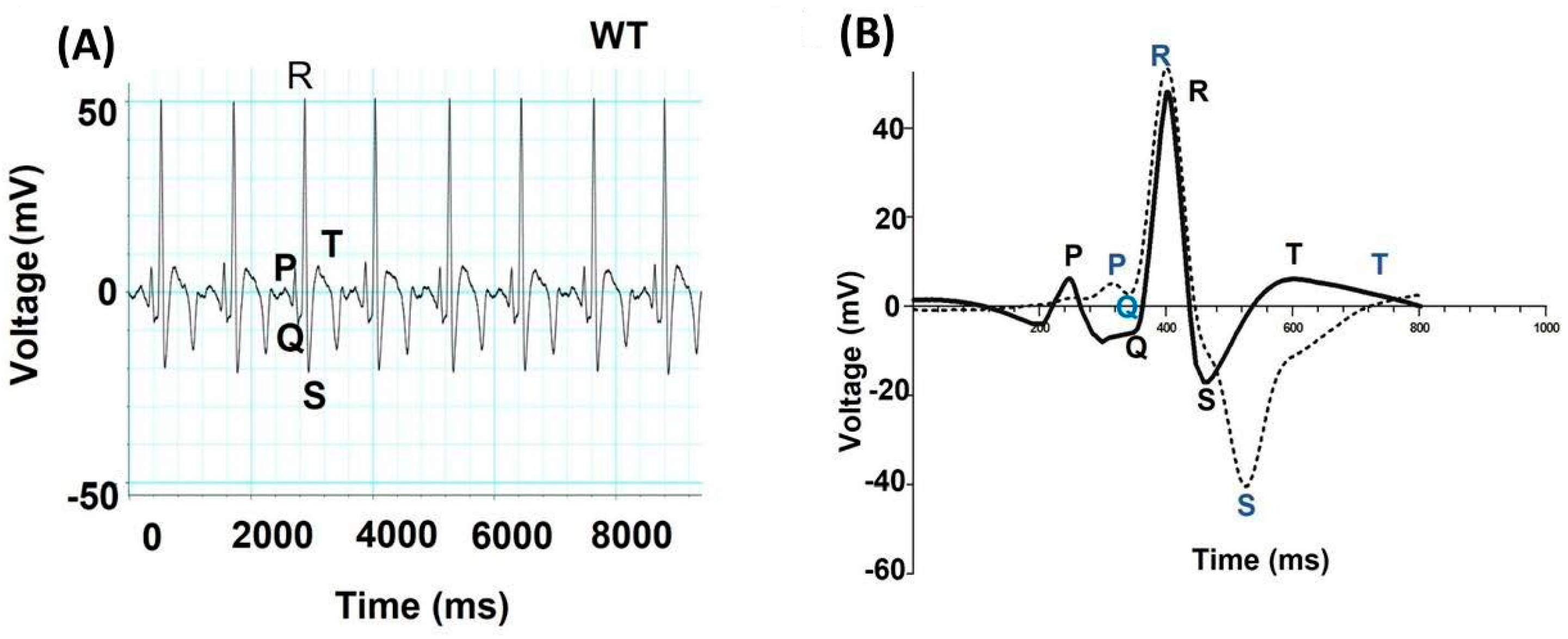 Biomedicines 12 00693 g002 Biomedicines 12 00693 g002