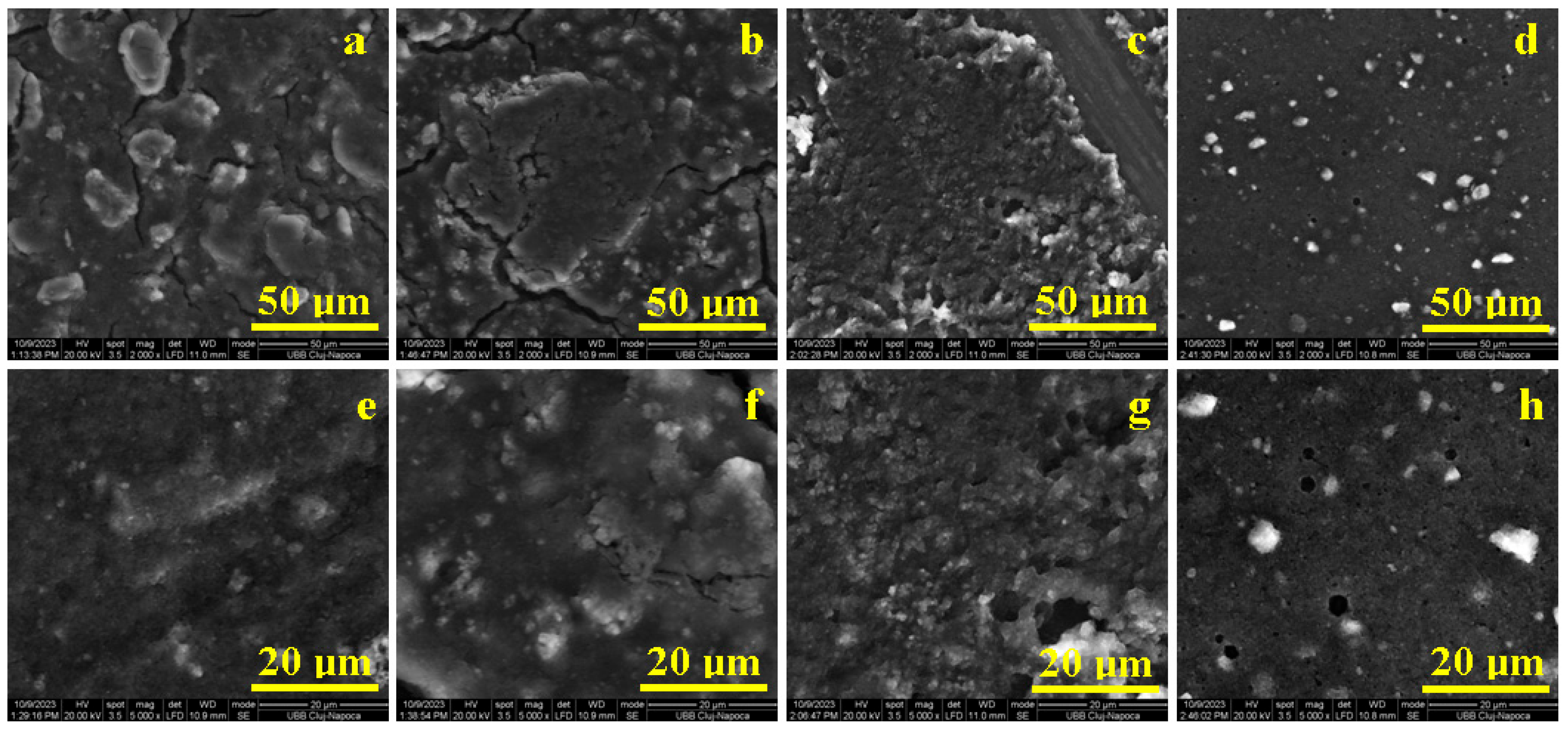 Biomedicines 12 00694 g004
