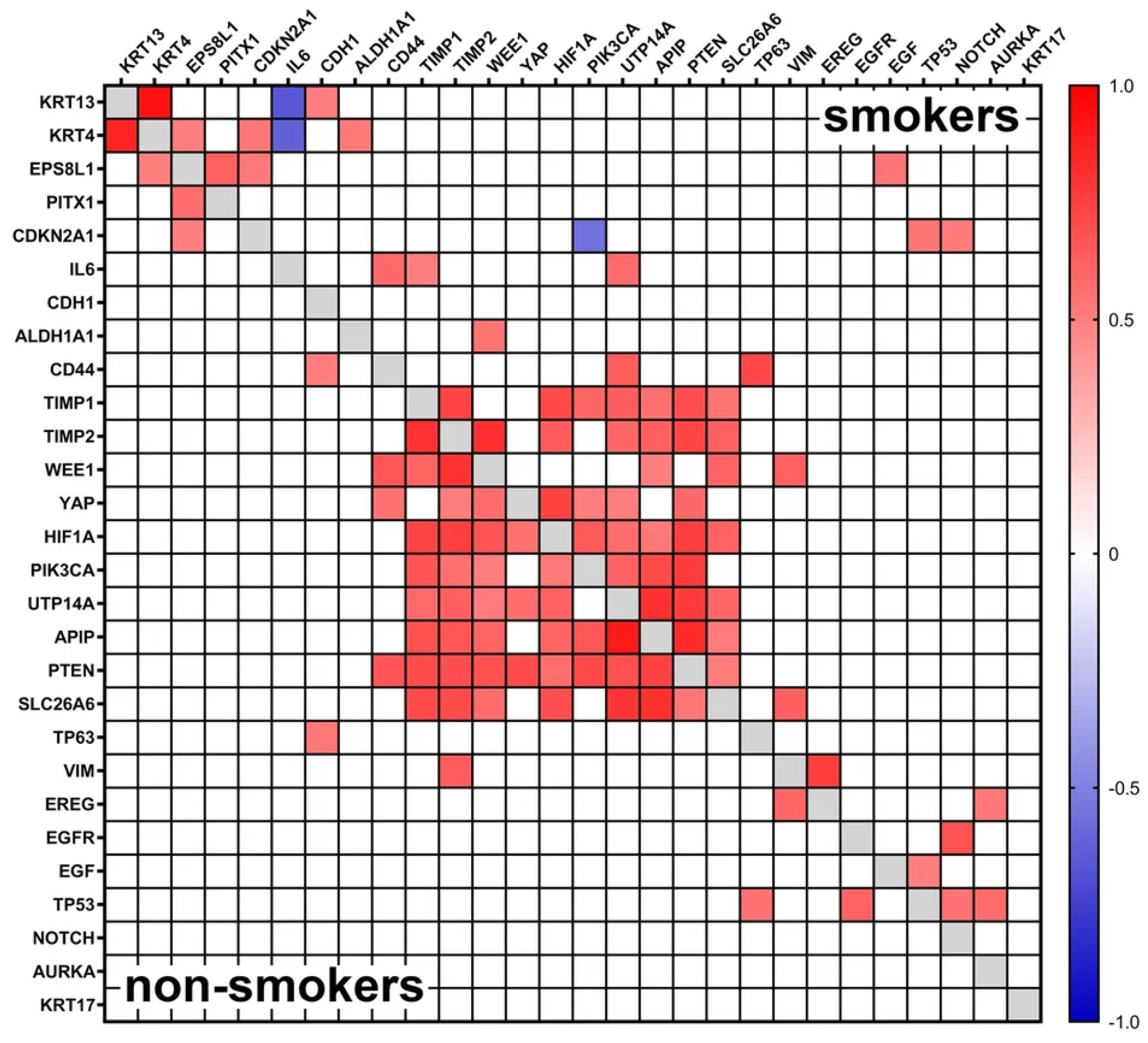 Biomedicines 12 00696 g005