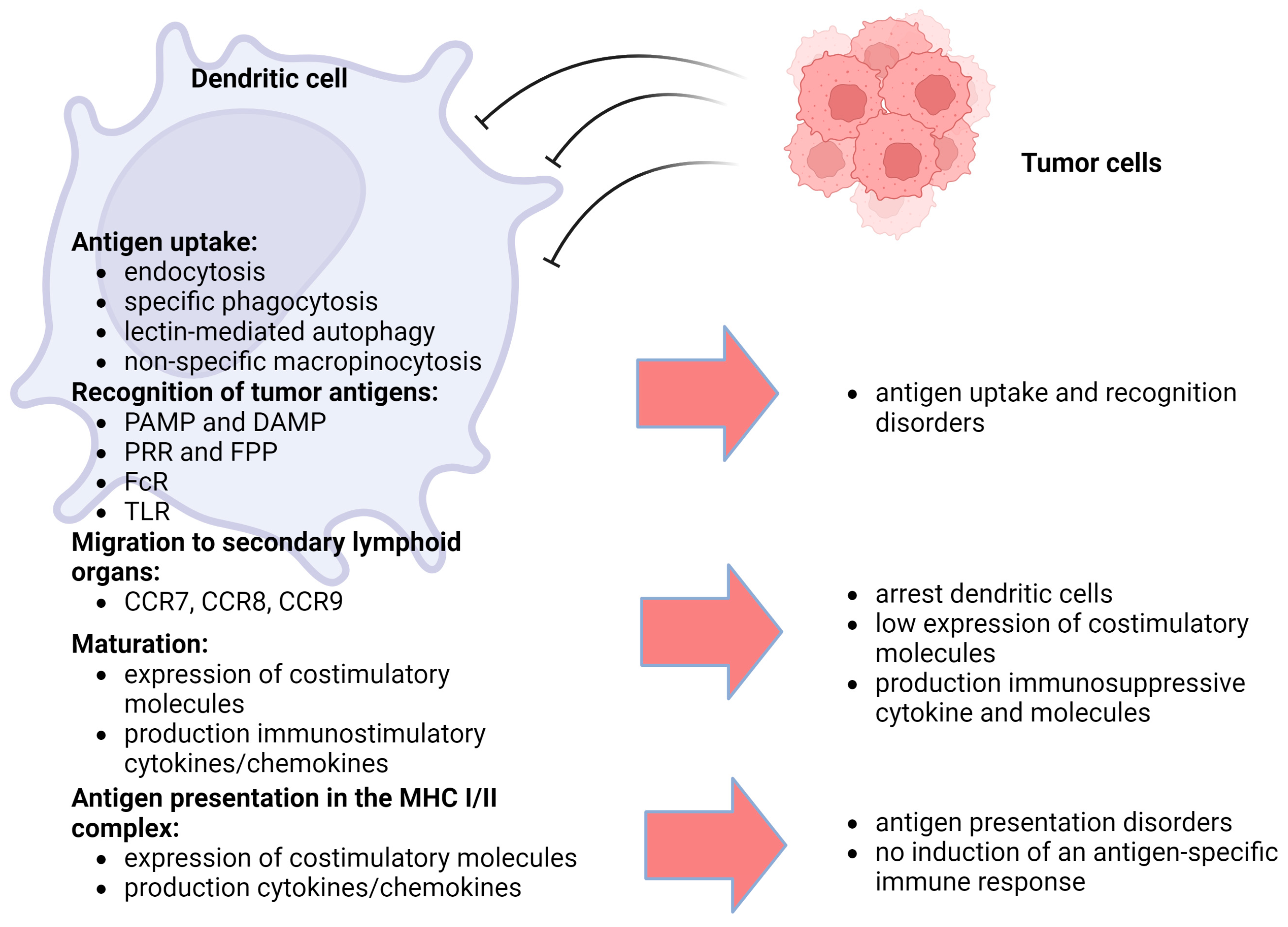 Biomedicines 12 00699 g001