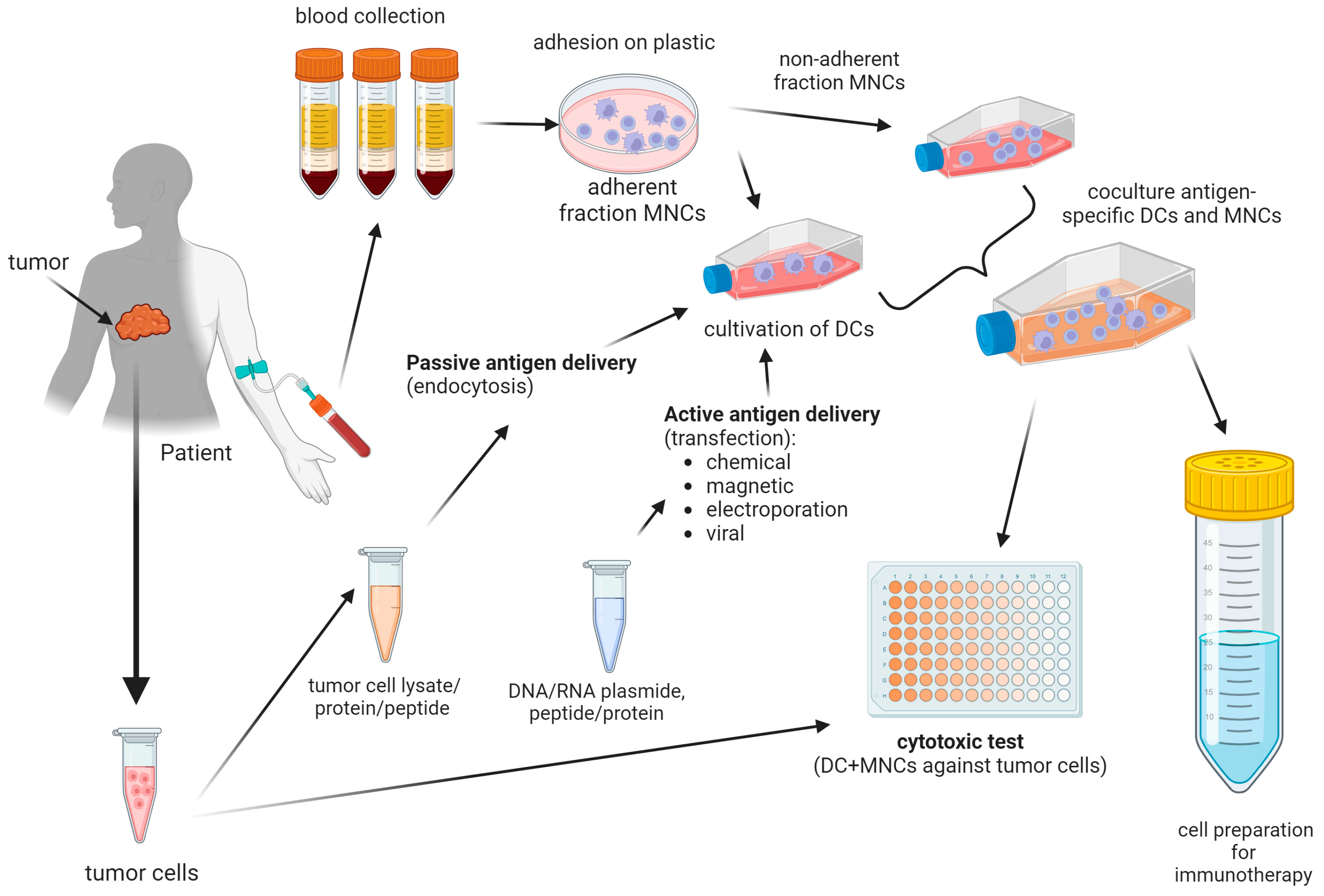 Biomedicines 12 00699 g002