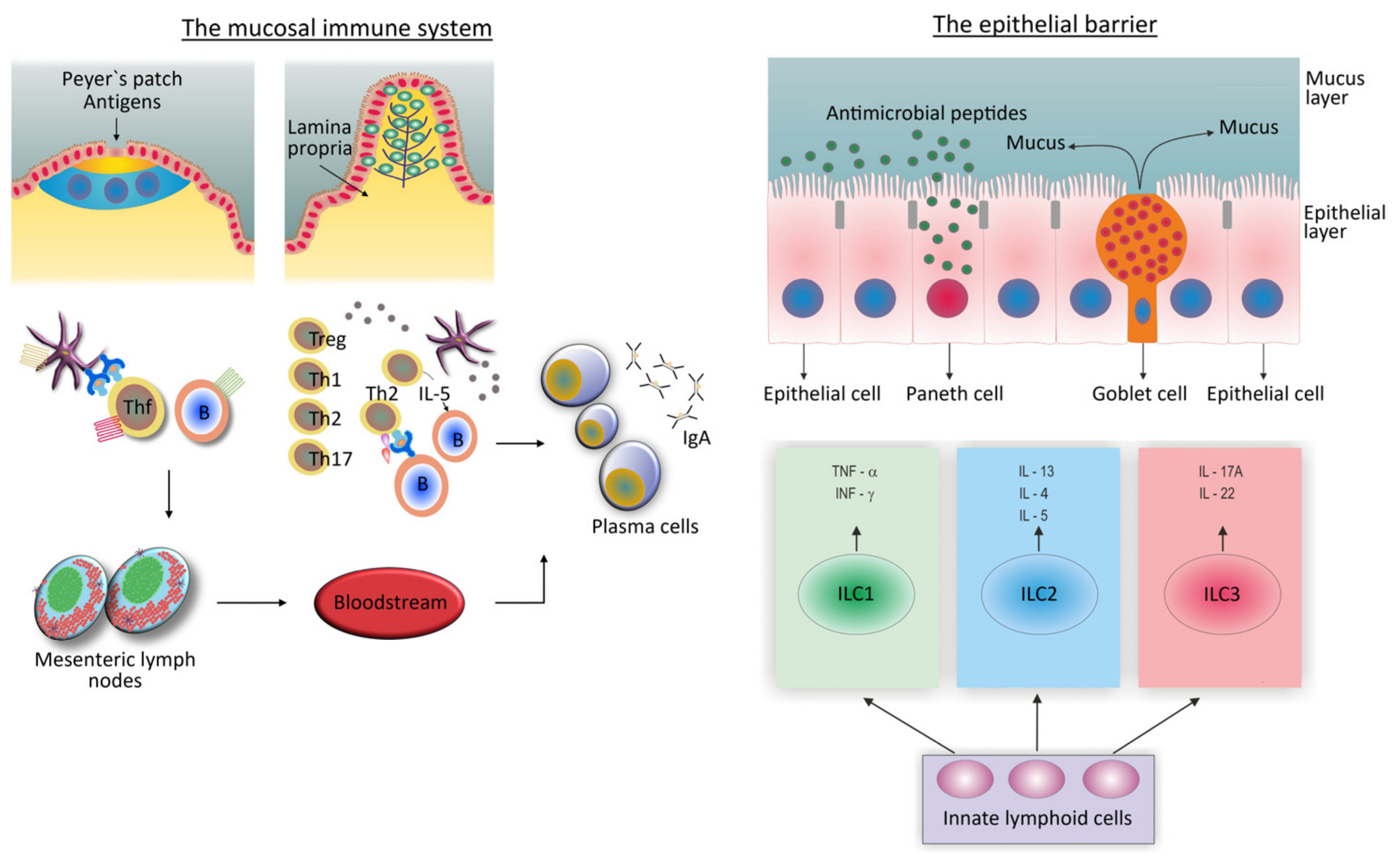 Biomedicines 12 00702 g002
