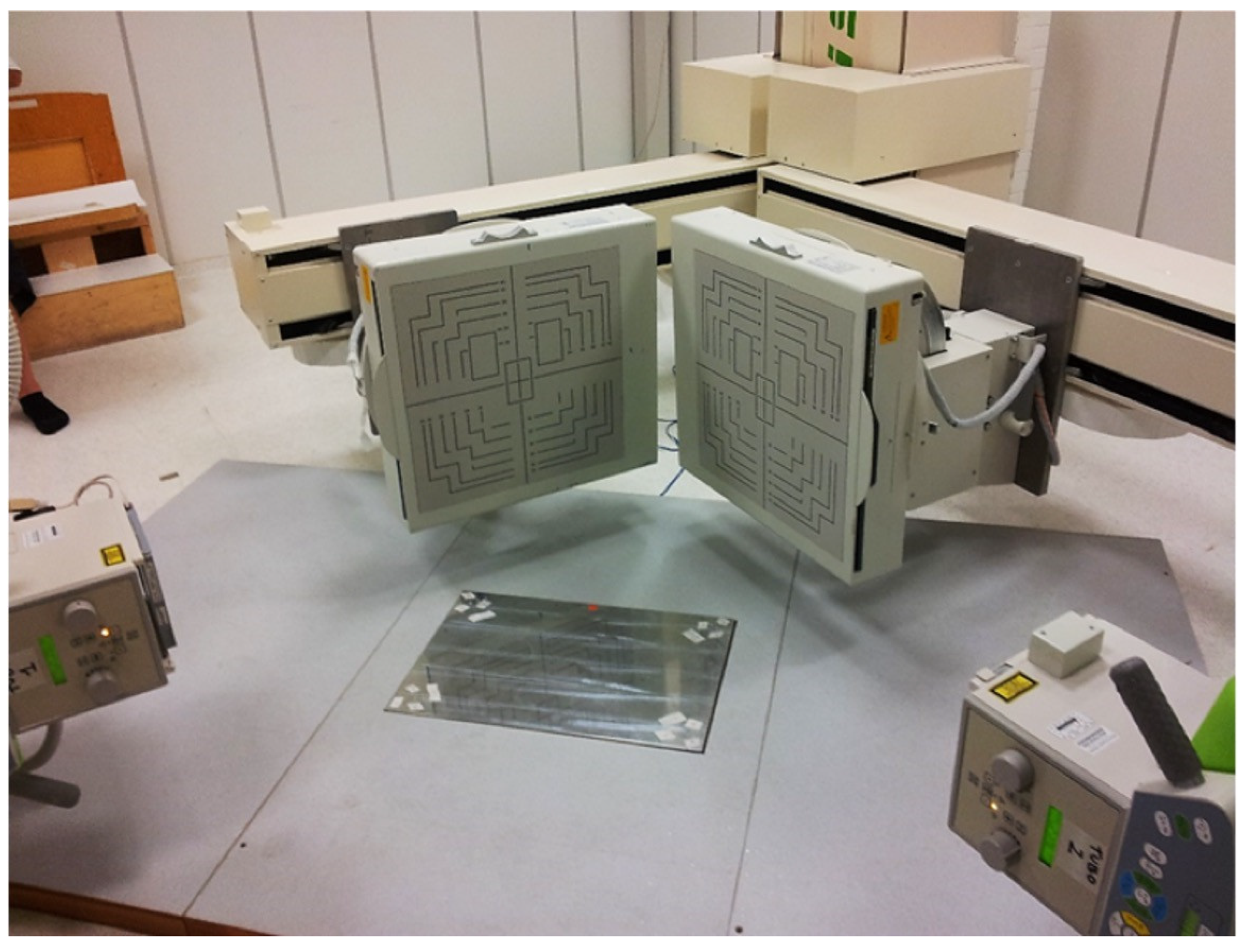 Biomedicines 12 00705 g001