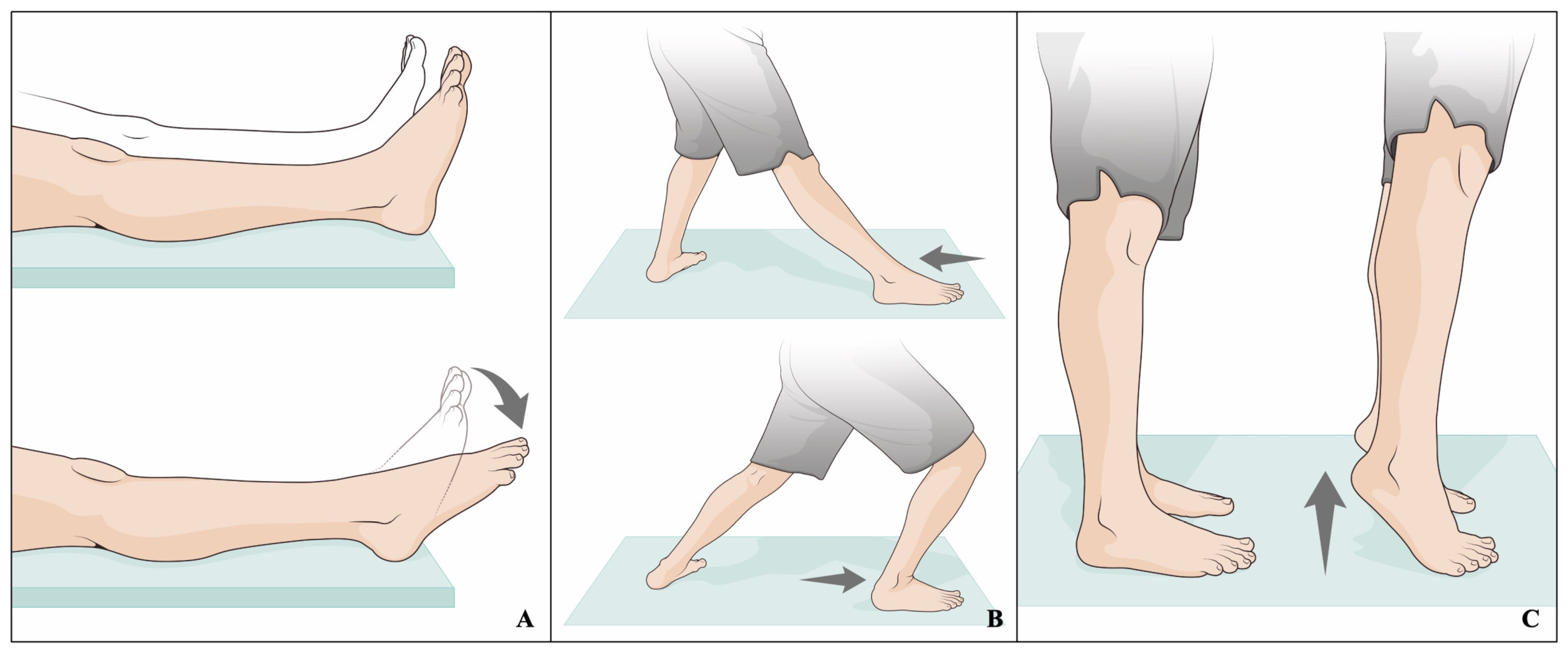 Biomedicines 12 00705 g003