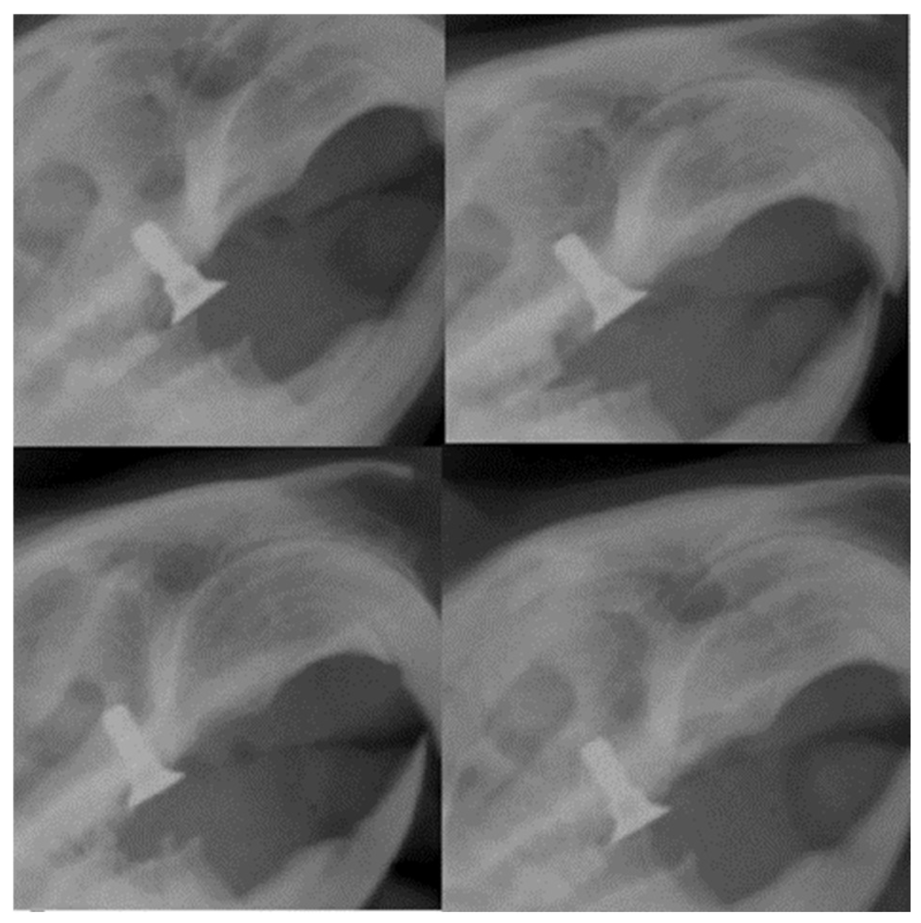 Biomedicines 12 00715 g014
