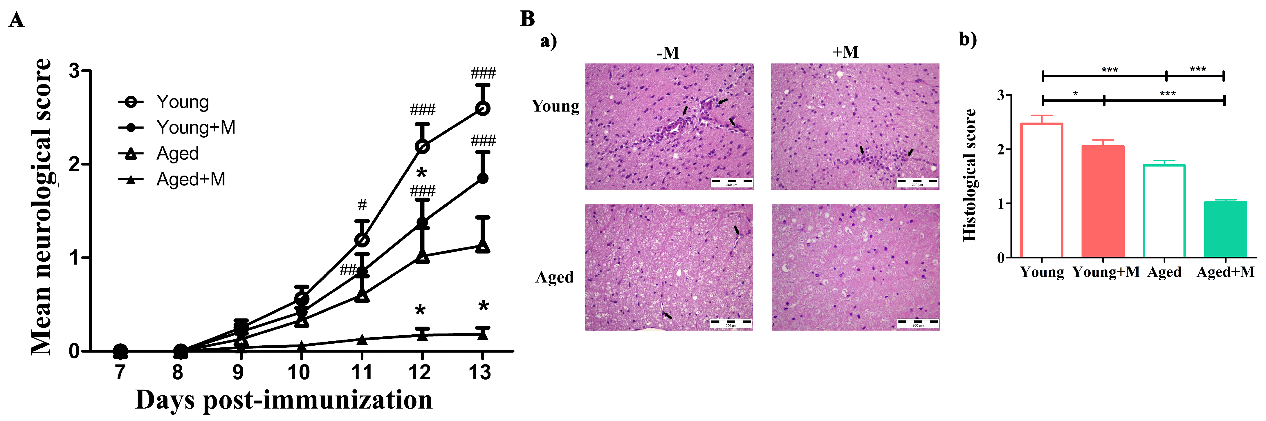 Biomedicines 12 00717 g001