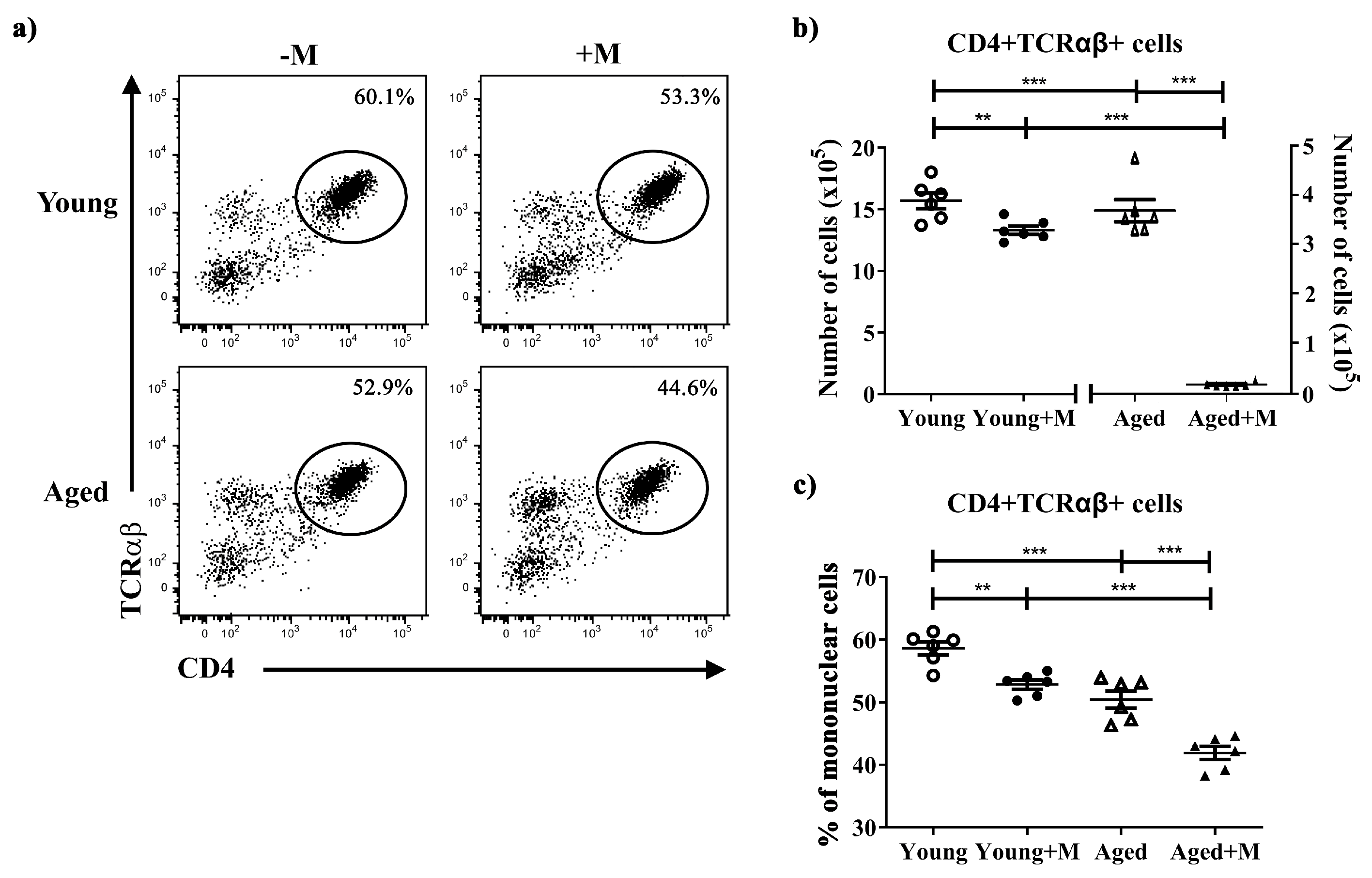 Biomedicines 12 00717 g002