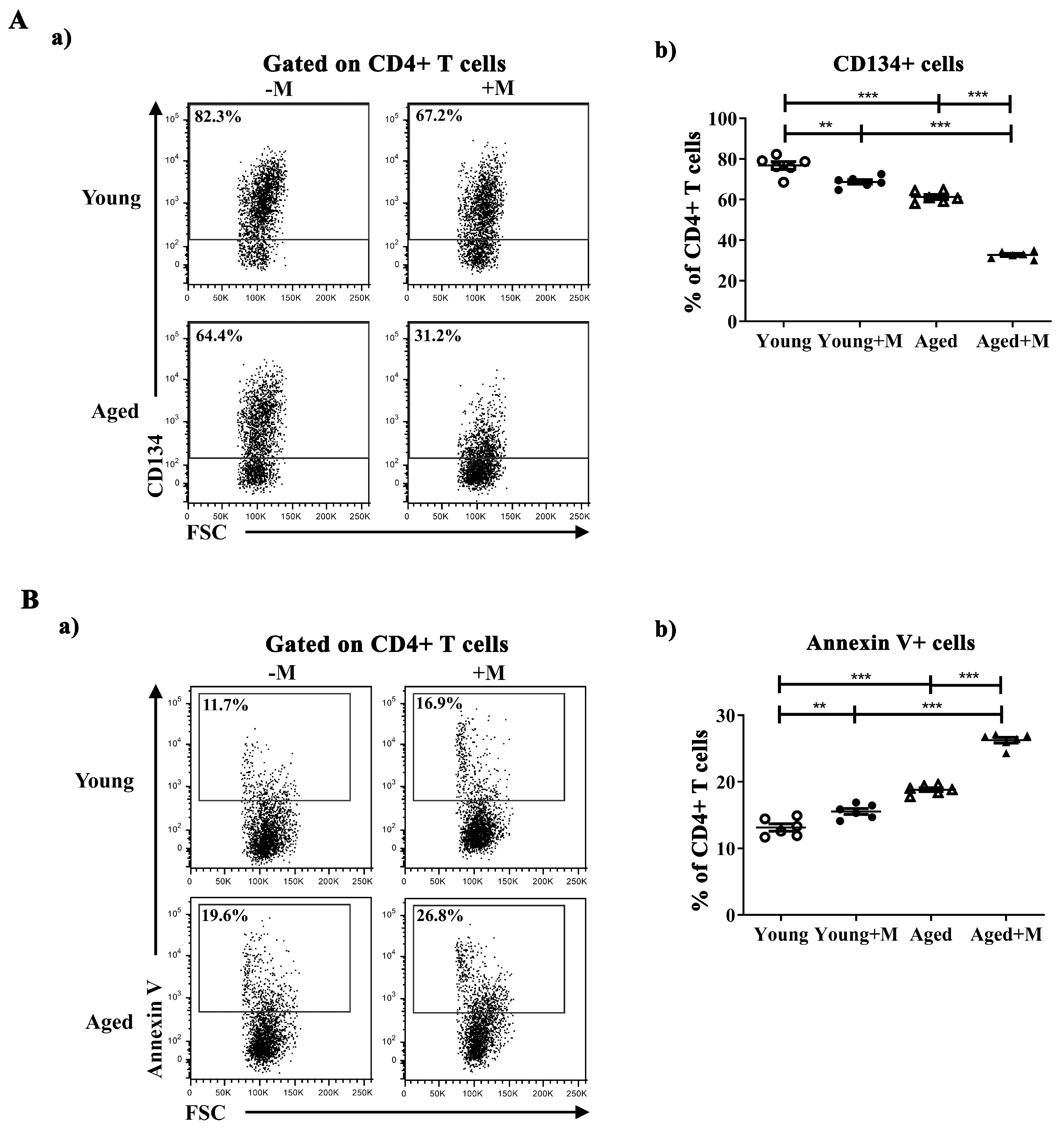 Biomedicines 12 00717 g003