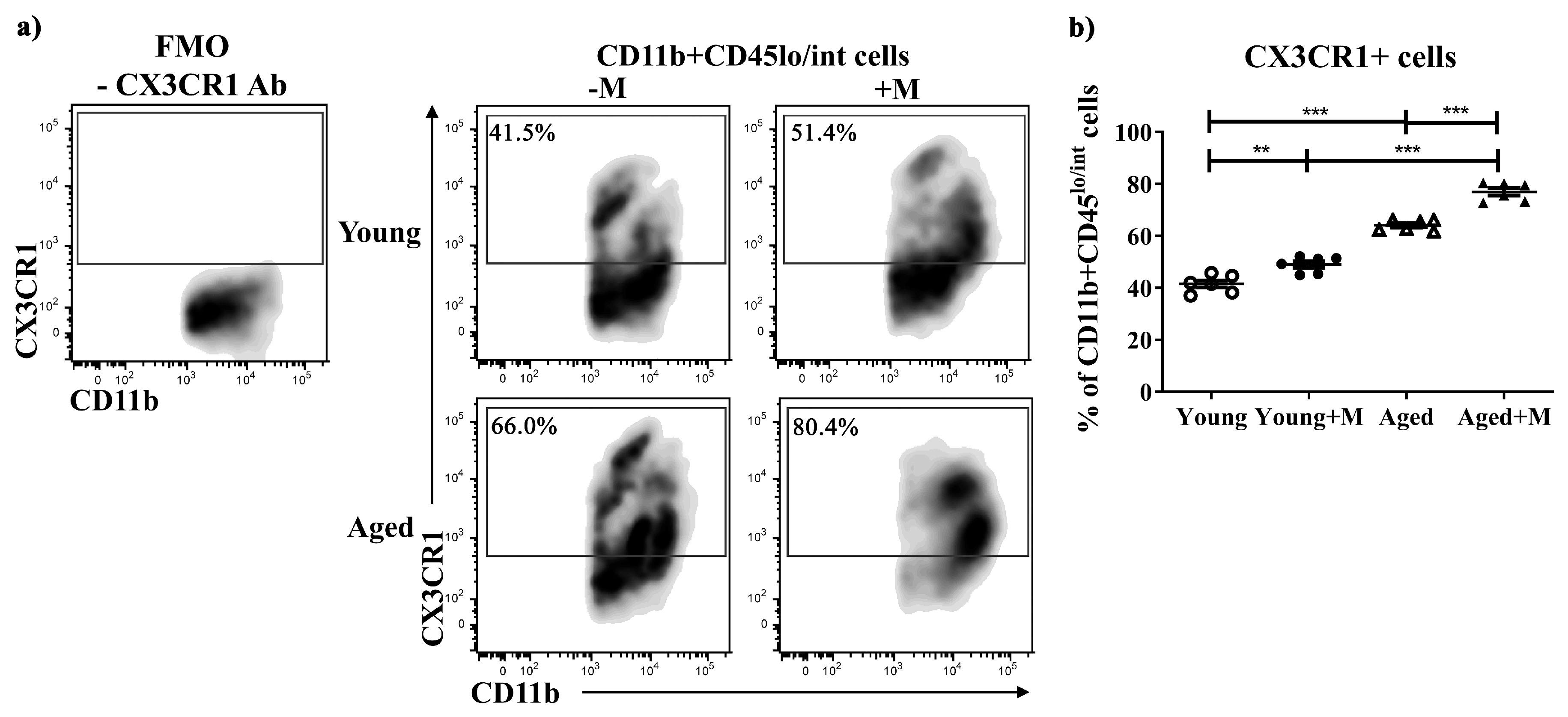 Biomedicines 12 00717 g005