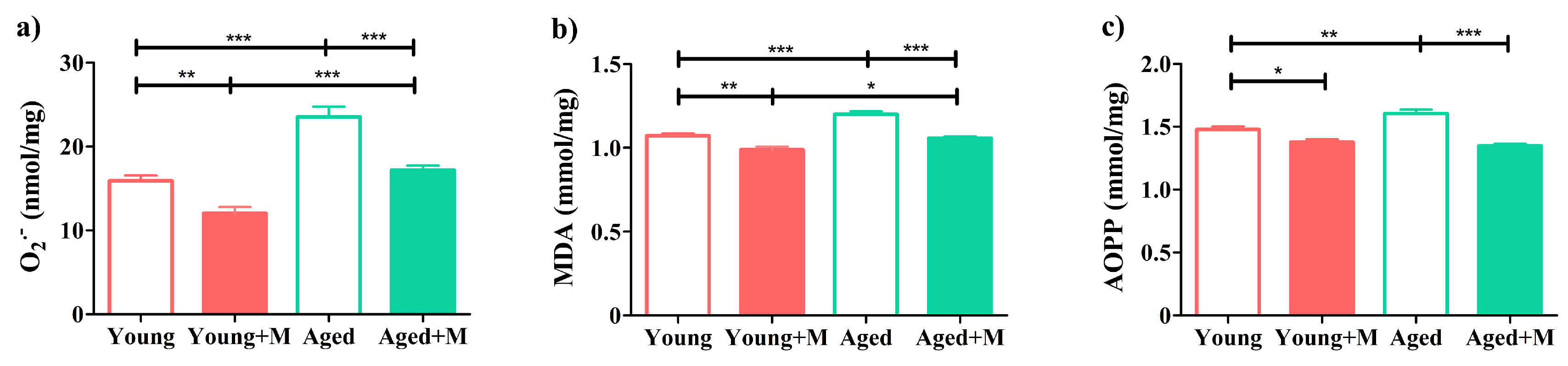 Biomedicines 12 00717 g007