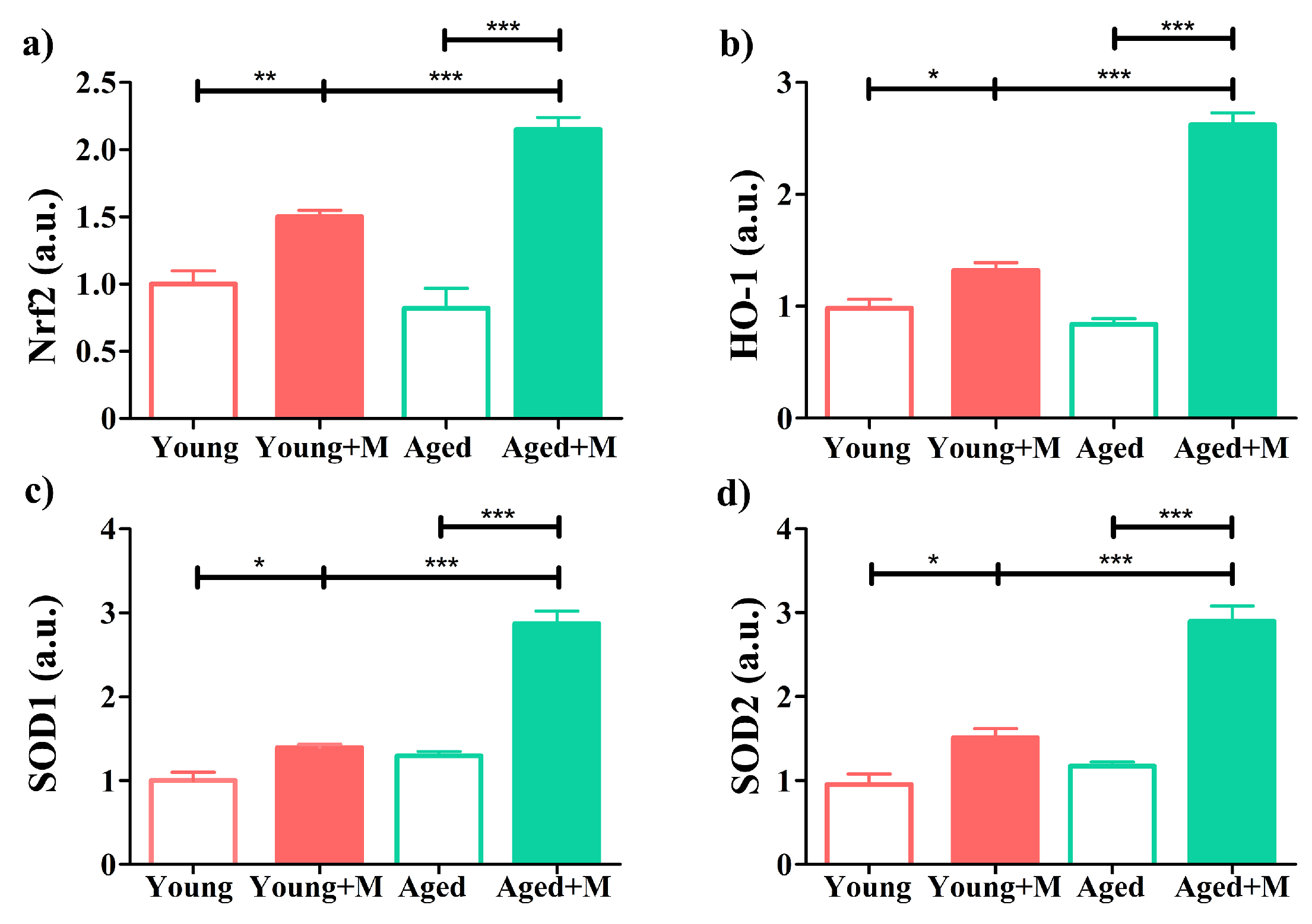 Biomedicines 12 00717 g008
