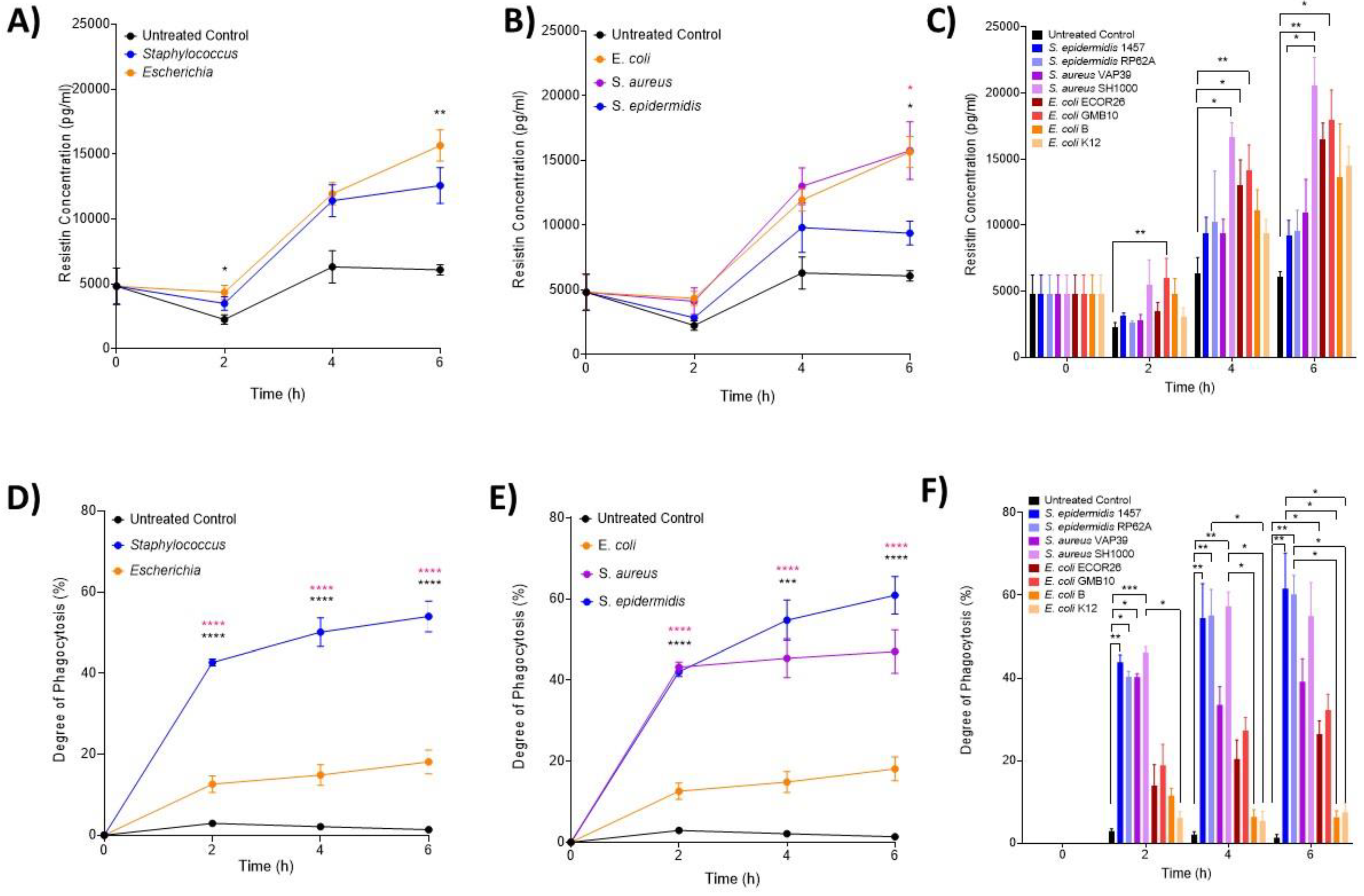 Biomedicines 12 00724 g003 Biomedicines 12 00724 g003