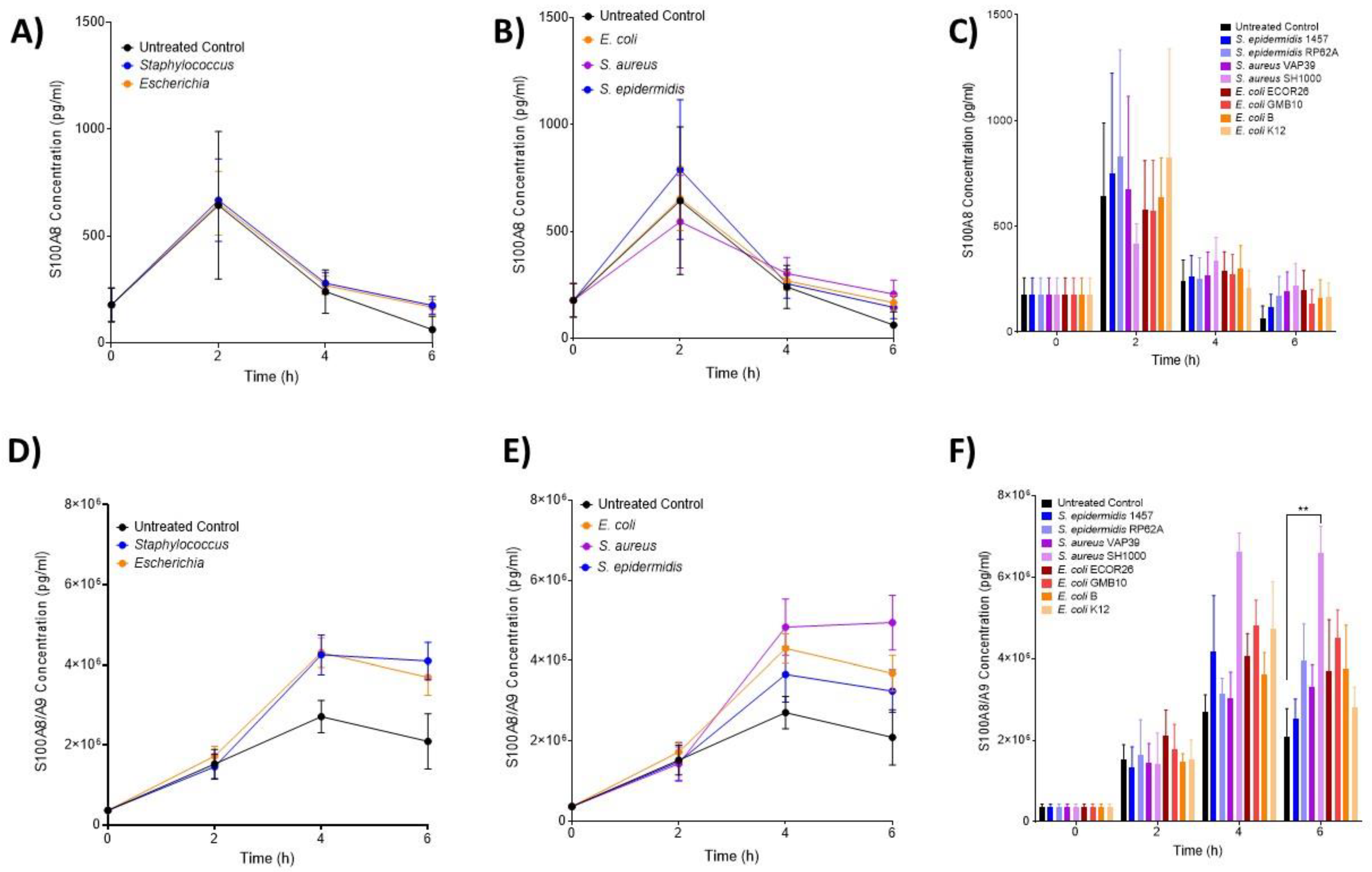 Biomedicines 12 00724 g004 Biomedicines 12 00724 g004