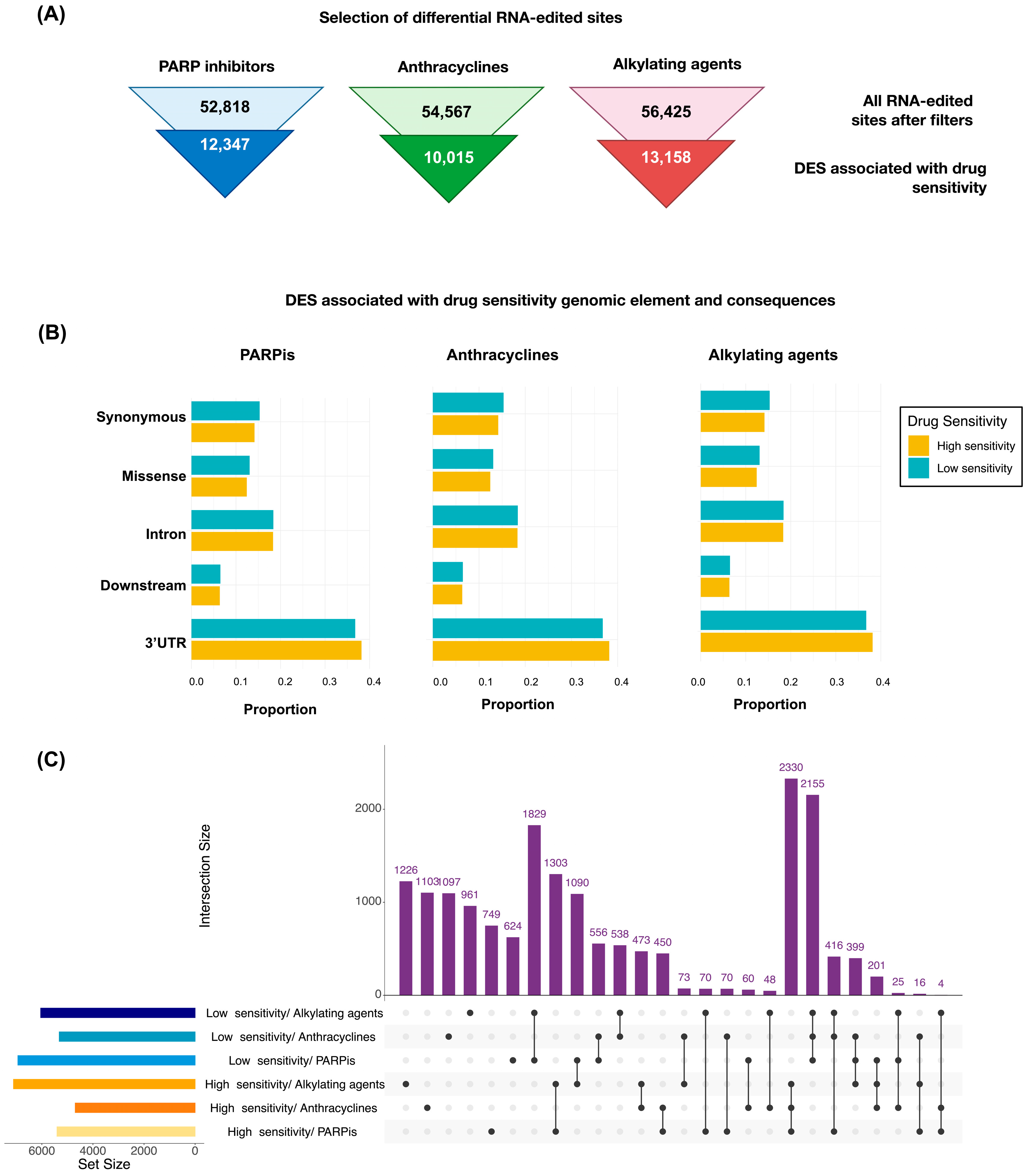 Biomedicines 12 00728 g003