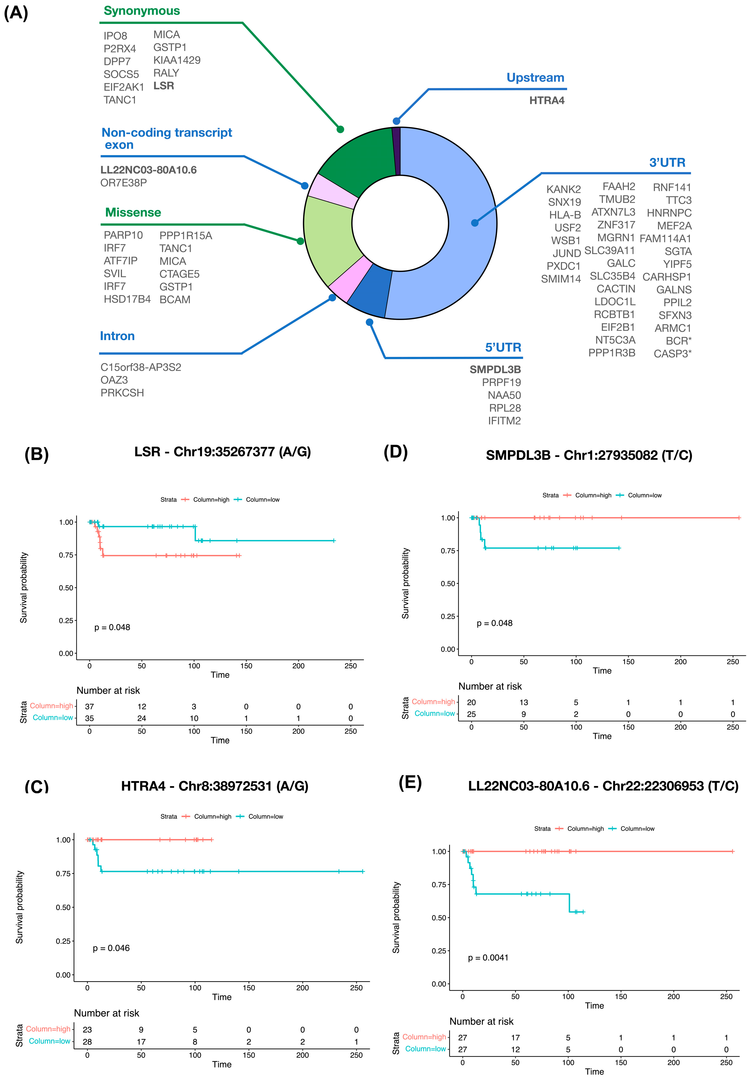 Biomedicines 12 00728 g006