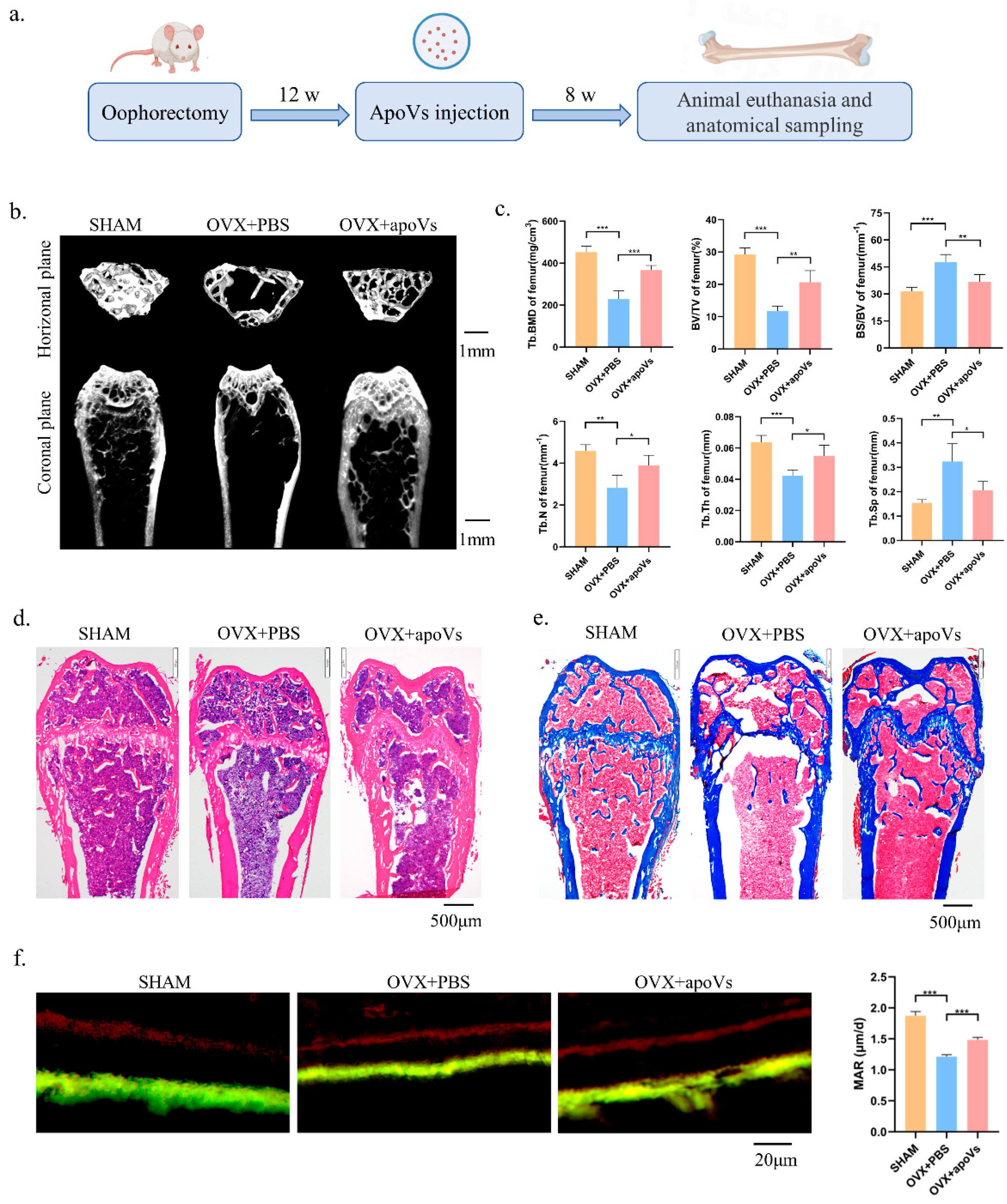 Biomedicines 12 00730 g004