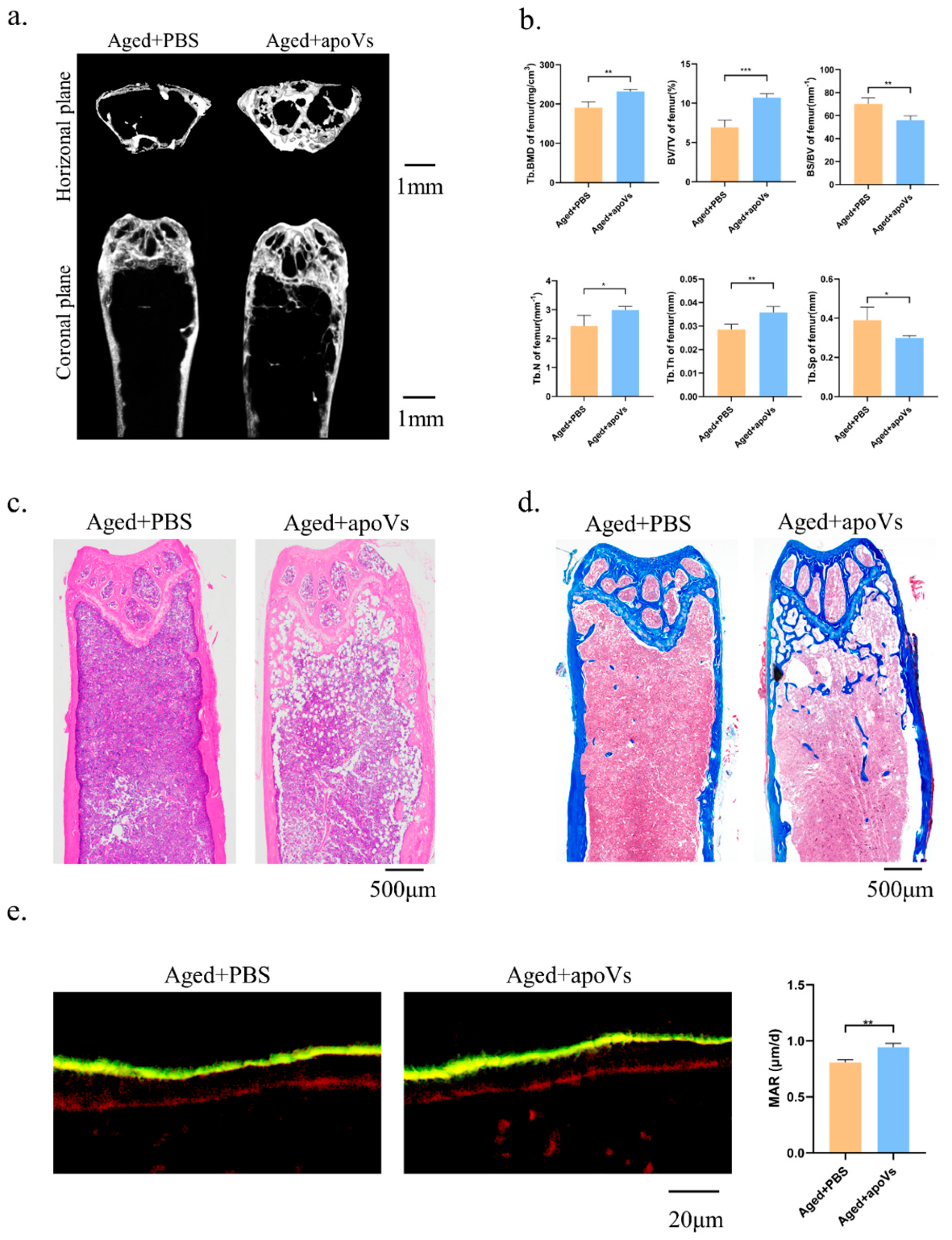 Biomedicines 12 00730 g005