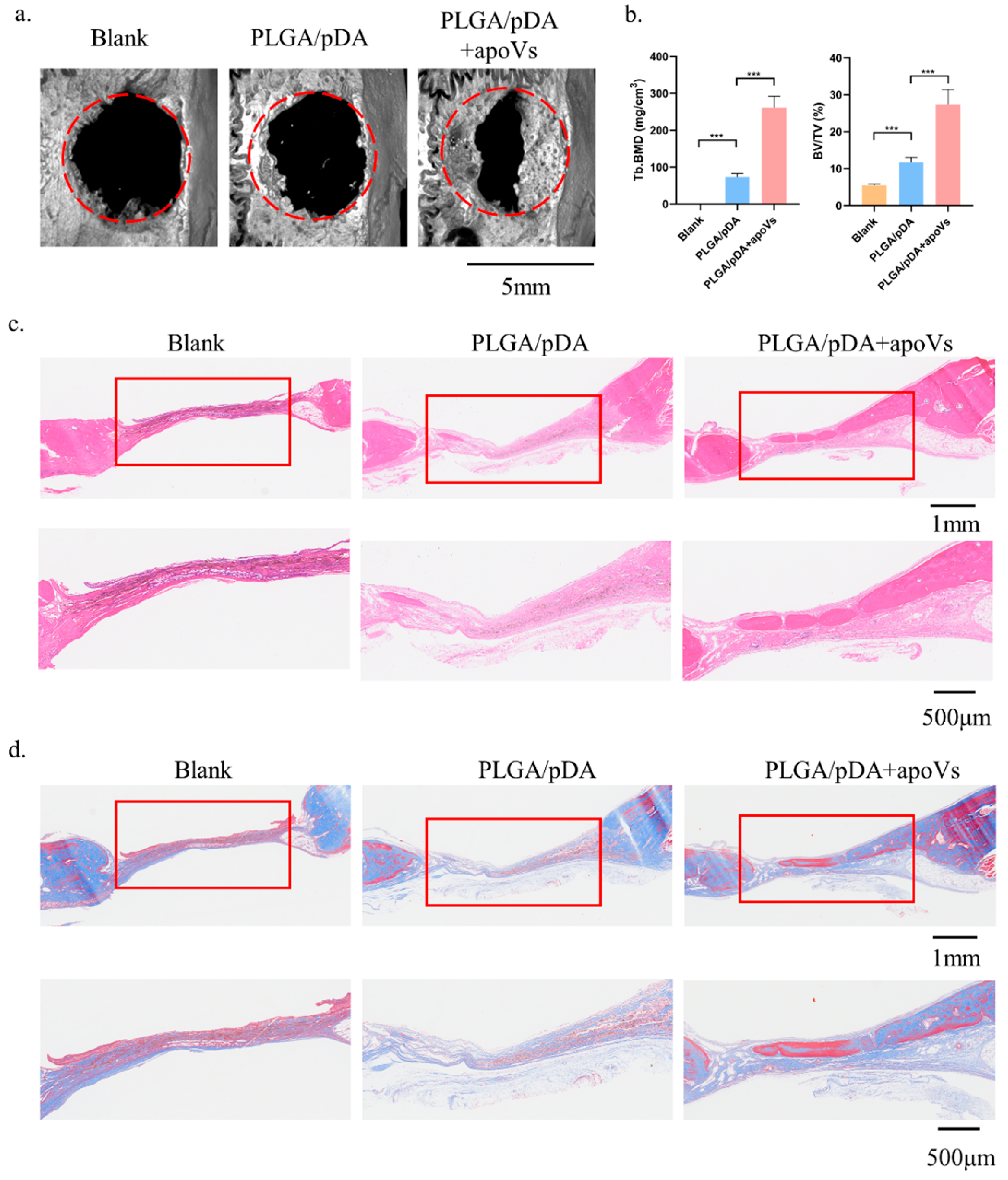 Biomedicines 12 00730 g006