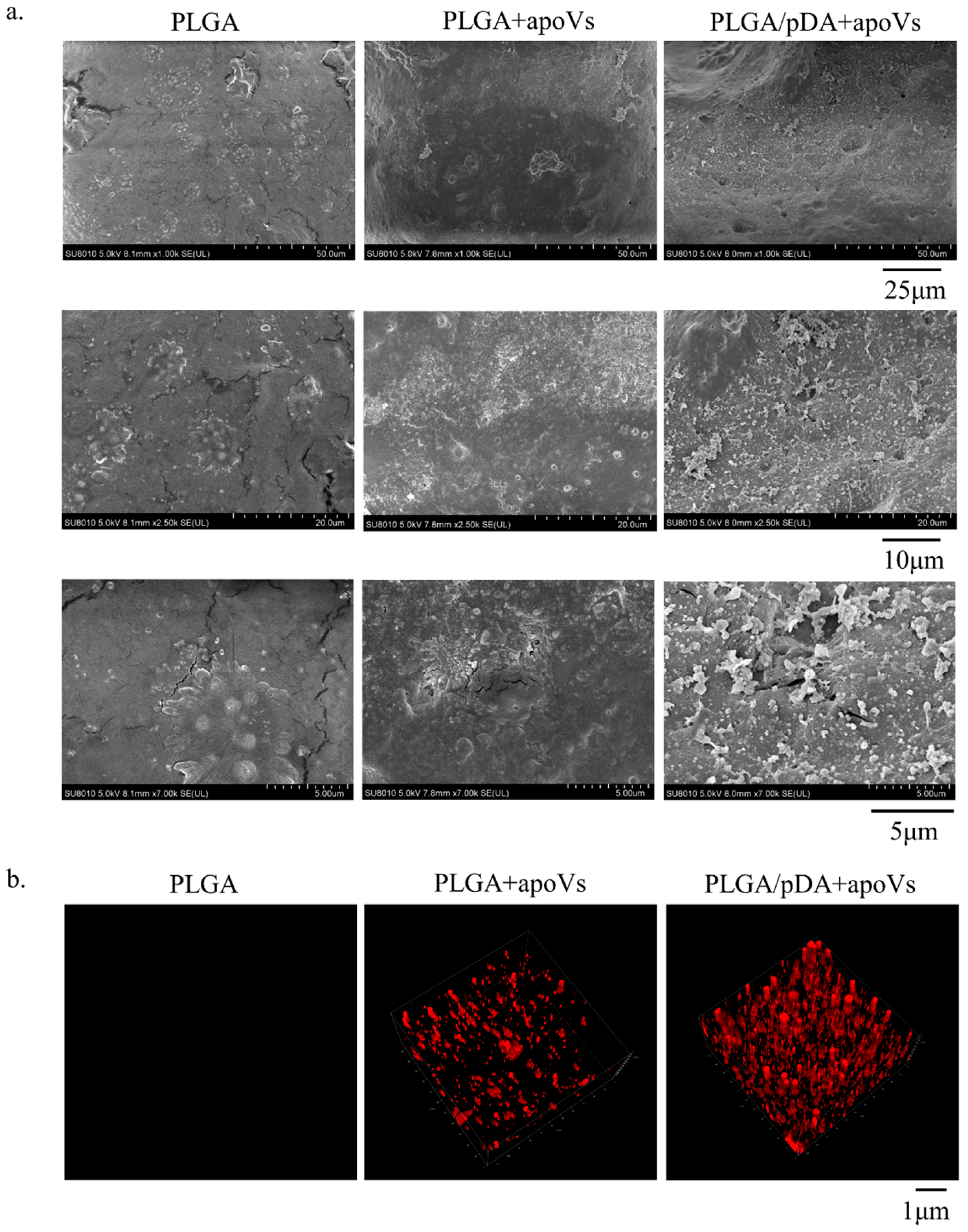 Biomedicines 12 00730 g0a6