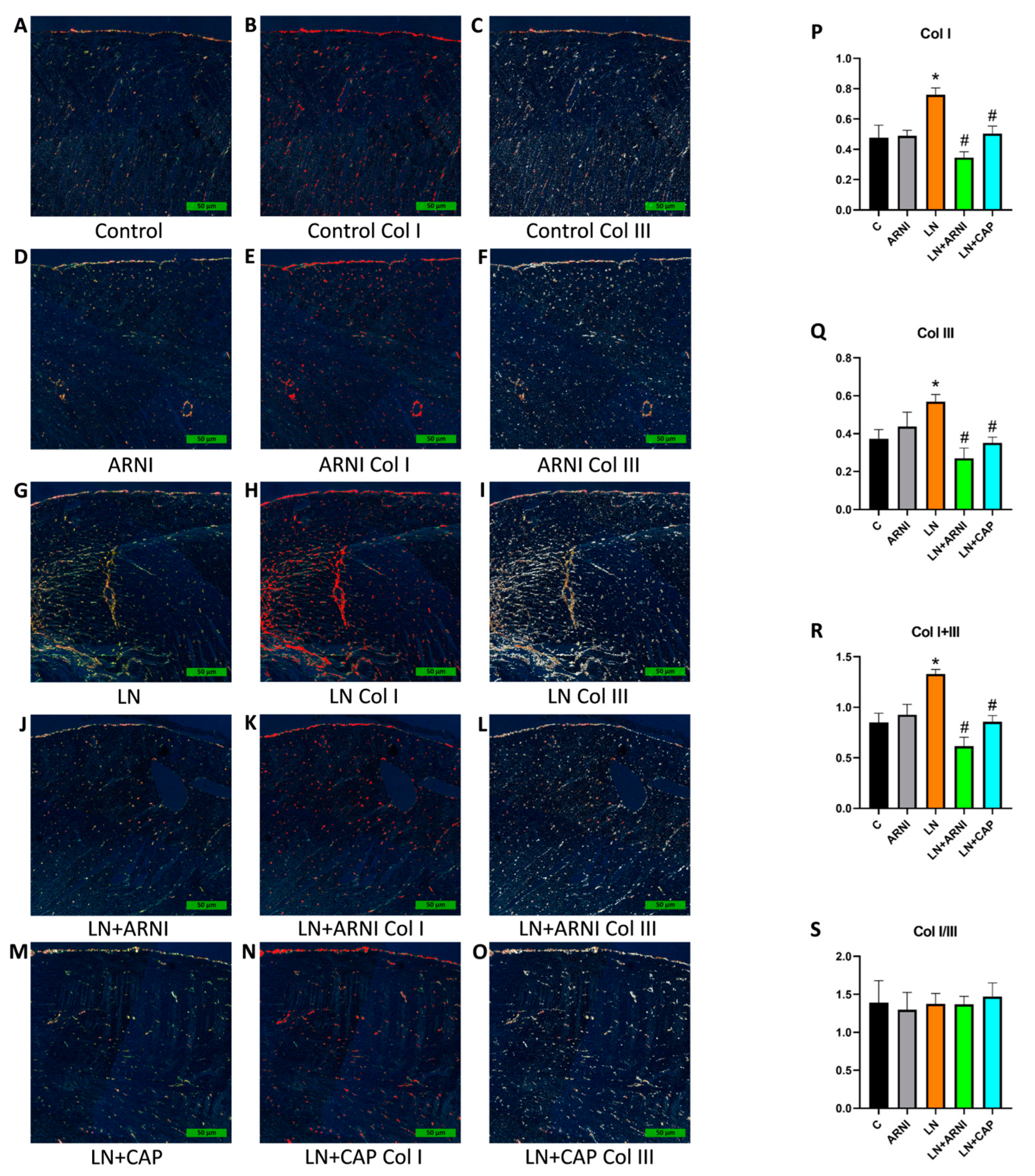 Biomedicines 12 00733 g004 Biomedicines 12 00733 g004