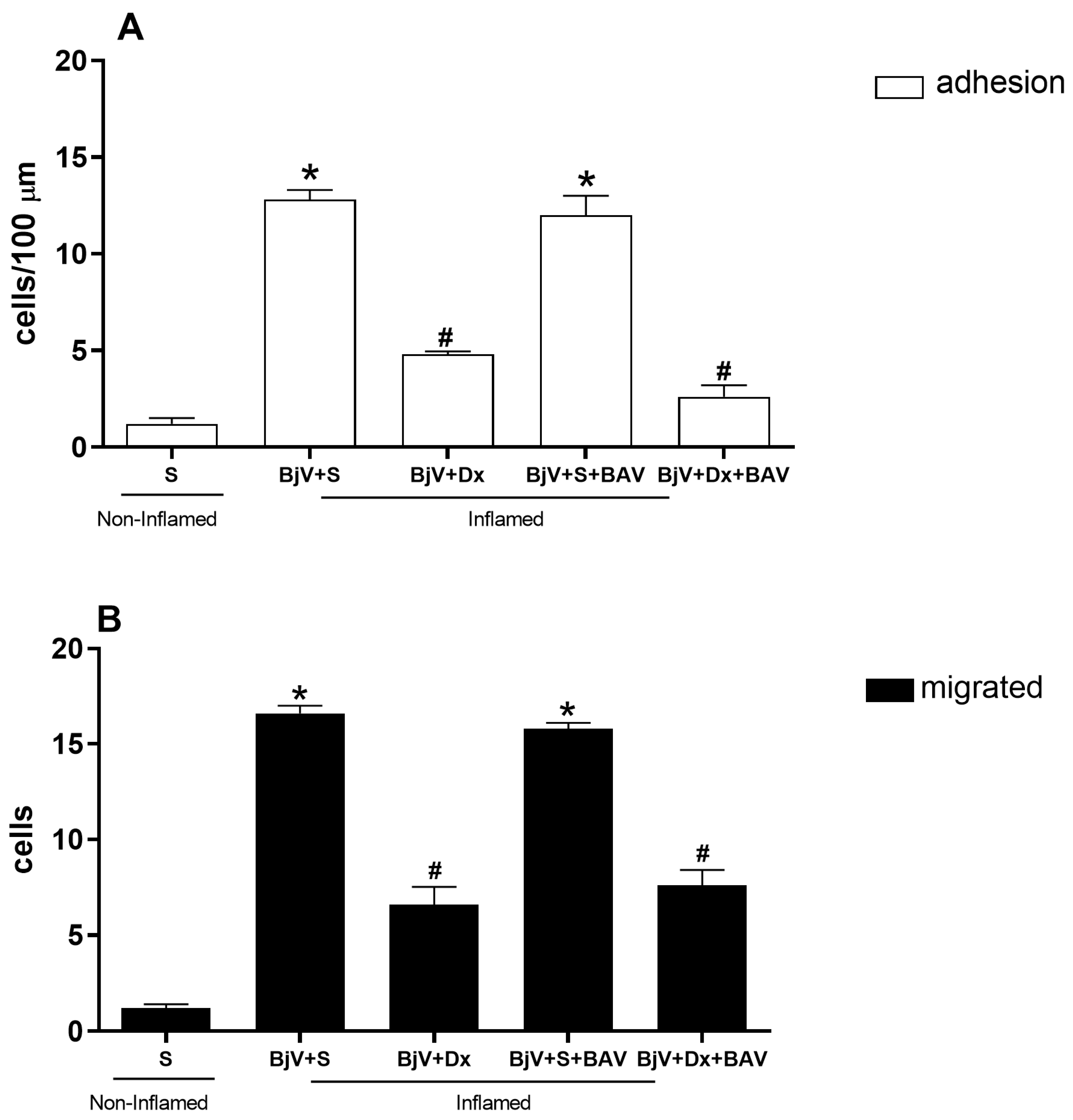 Biomedicines 12 00734 g004