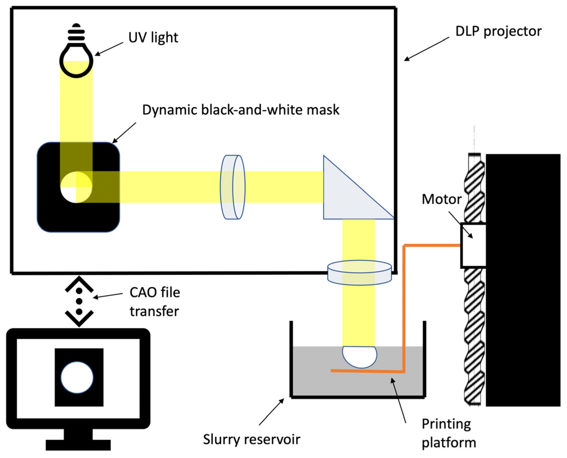Biomedicines 12 00736 g001