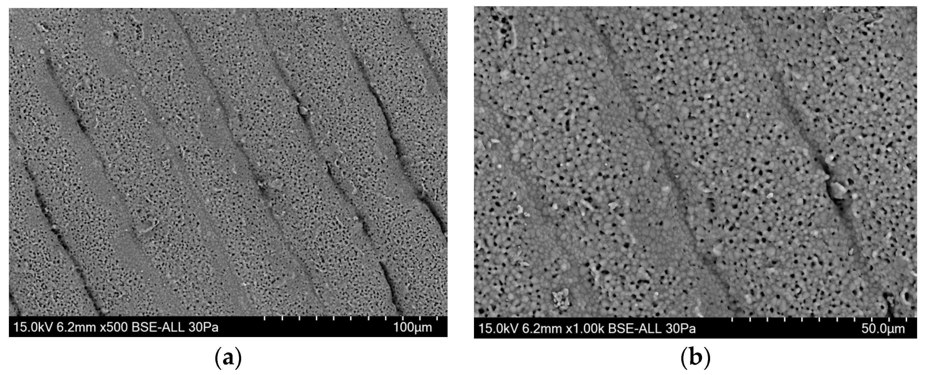 Biomedicines 12 00736 g002