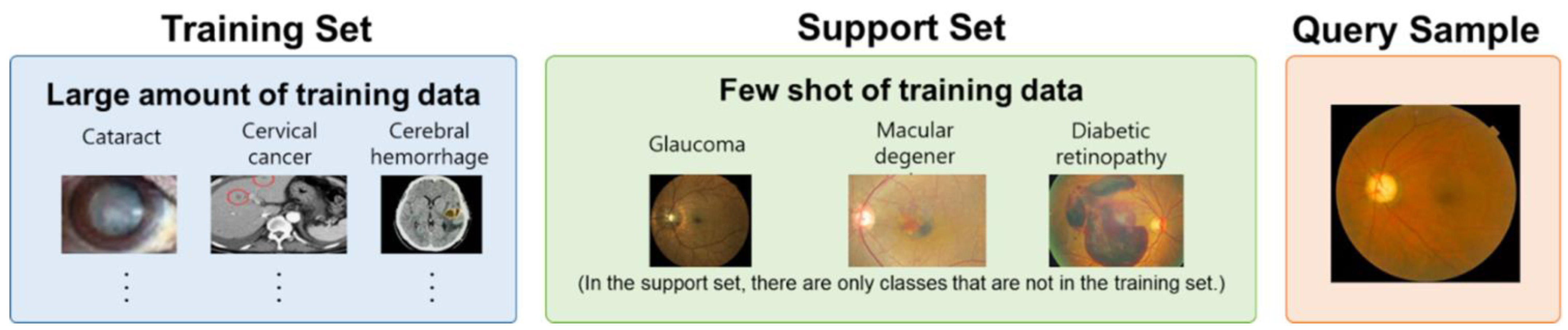 Biomedicines 12 00741 g002 Biomedicines 12 00741 g002