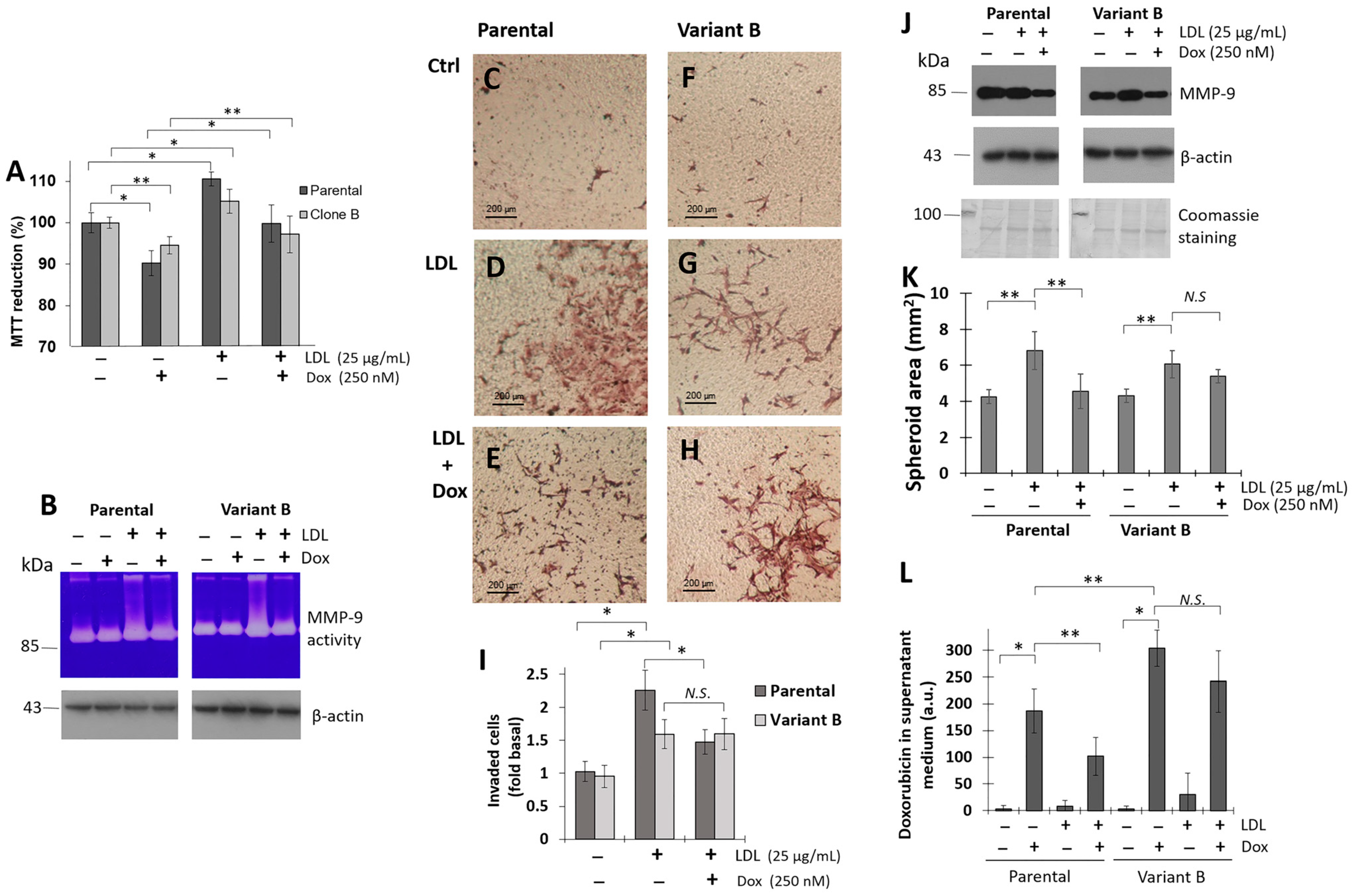 Biomedicines 12 00742 g002 Biomedicines 12 00742 g002