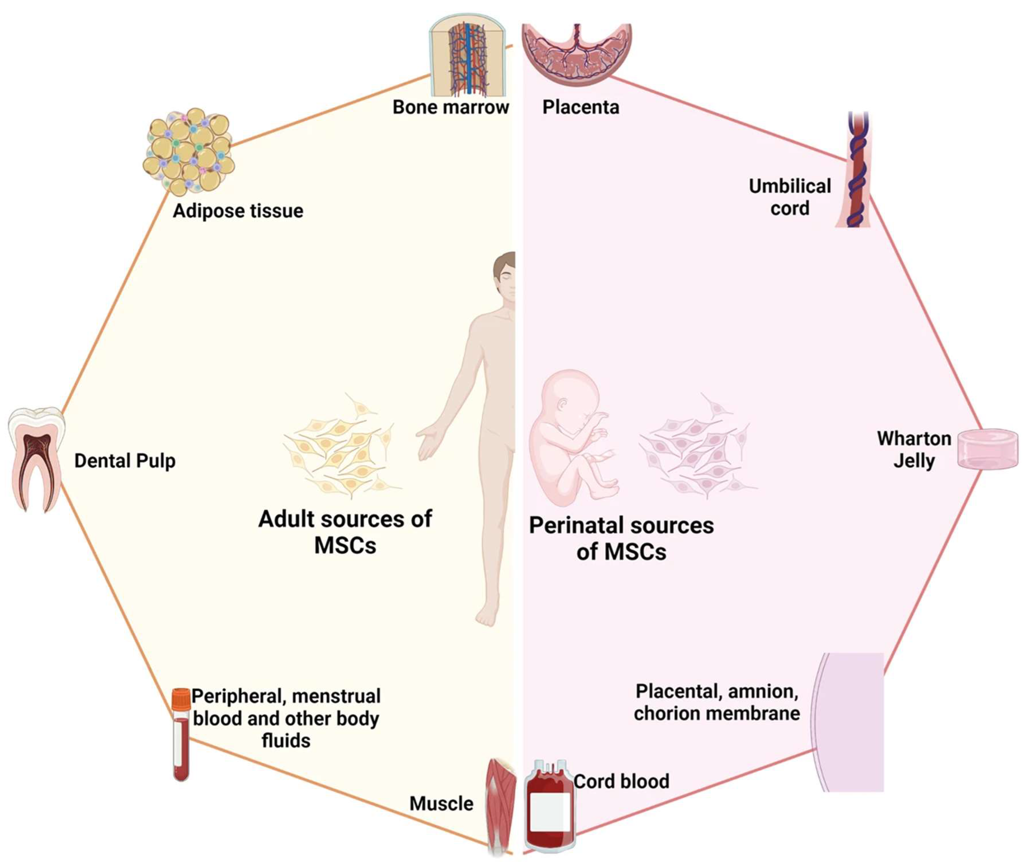 Biomedicines 12 00743 g002 Biomedicines 12 00743 g002