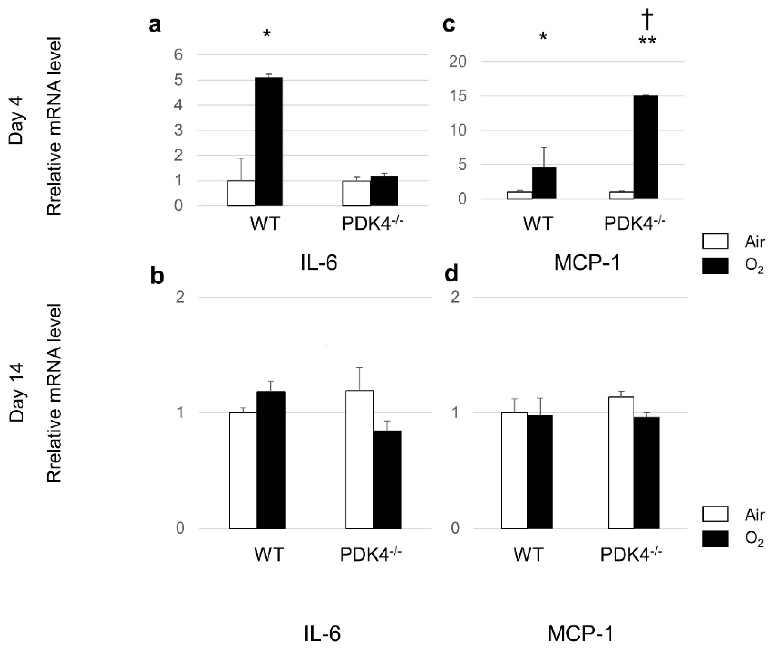 Biomedicines 12 00746 g006