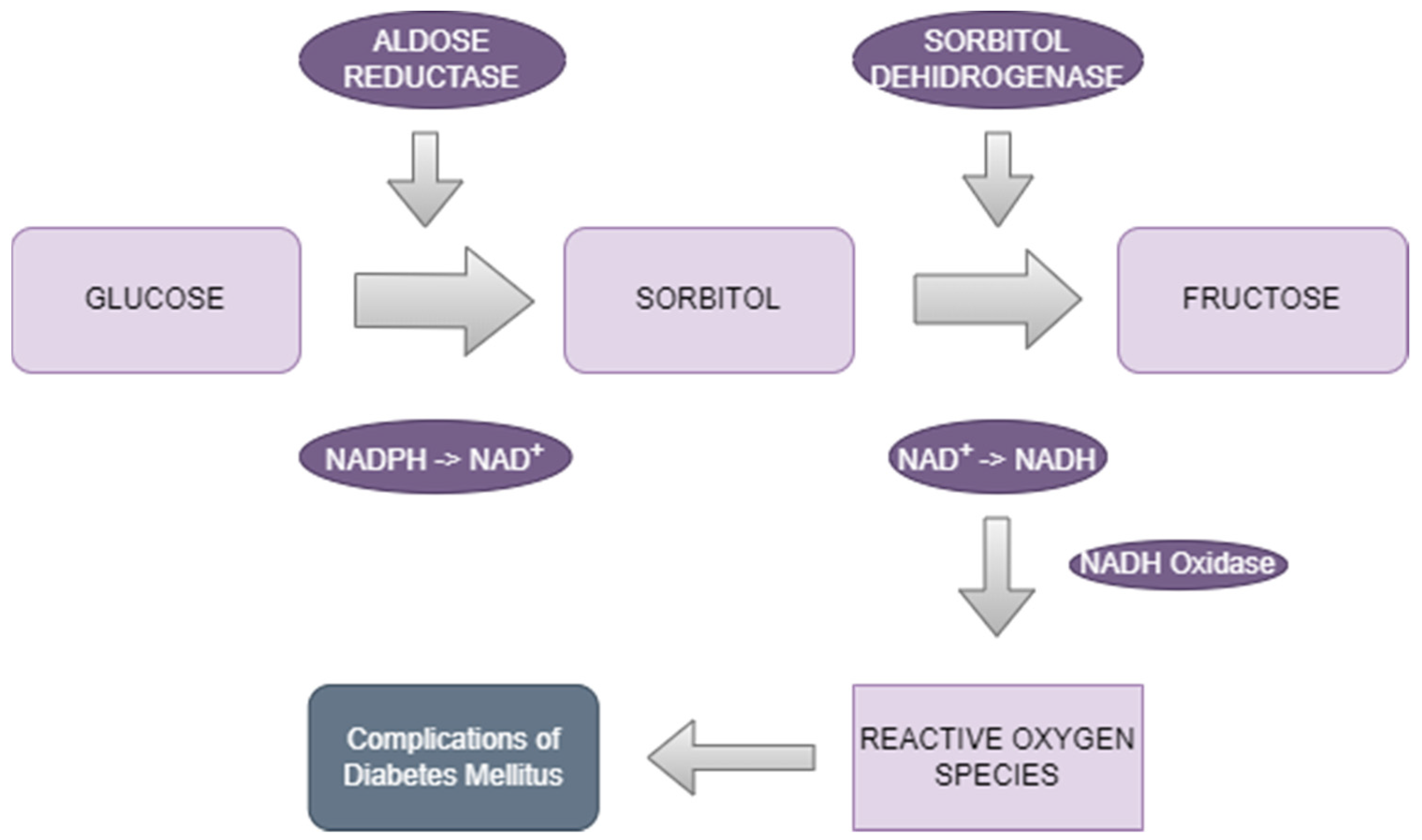 Biomedicines 12 00747 g001 Biomedicines 12 00747 g001
