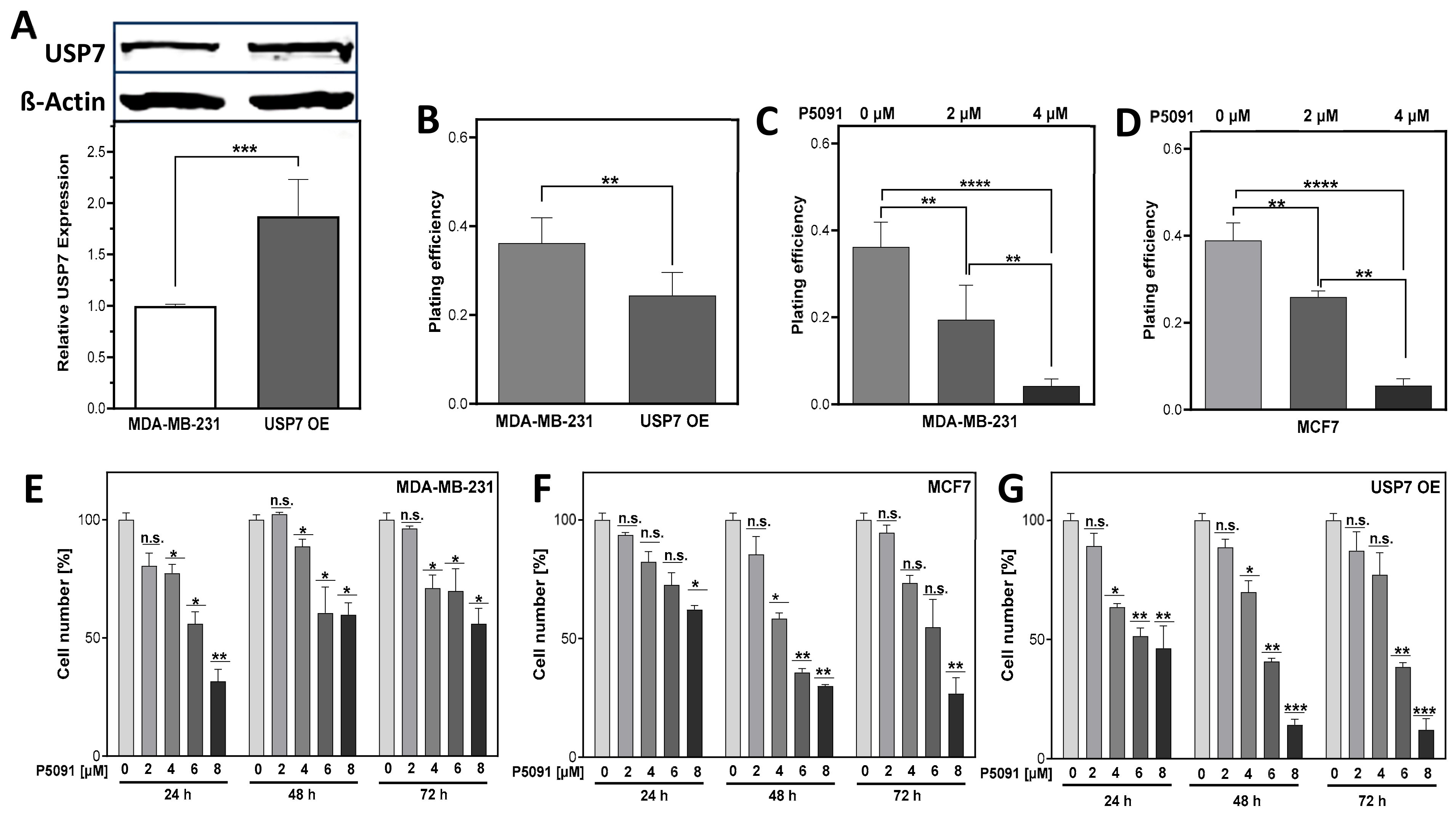 Biomedicines 12 00762 g002