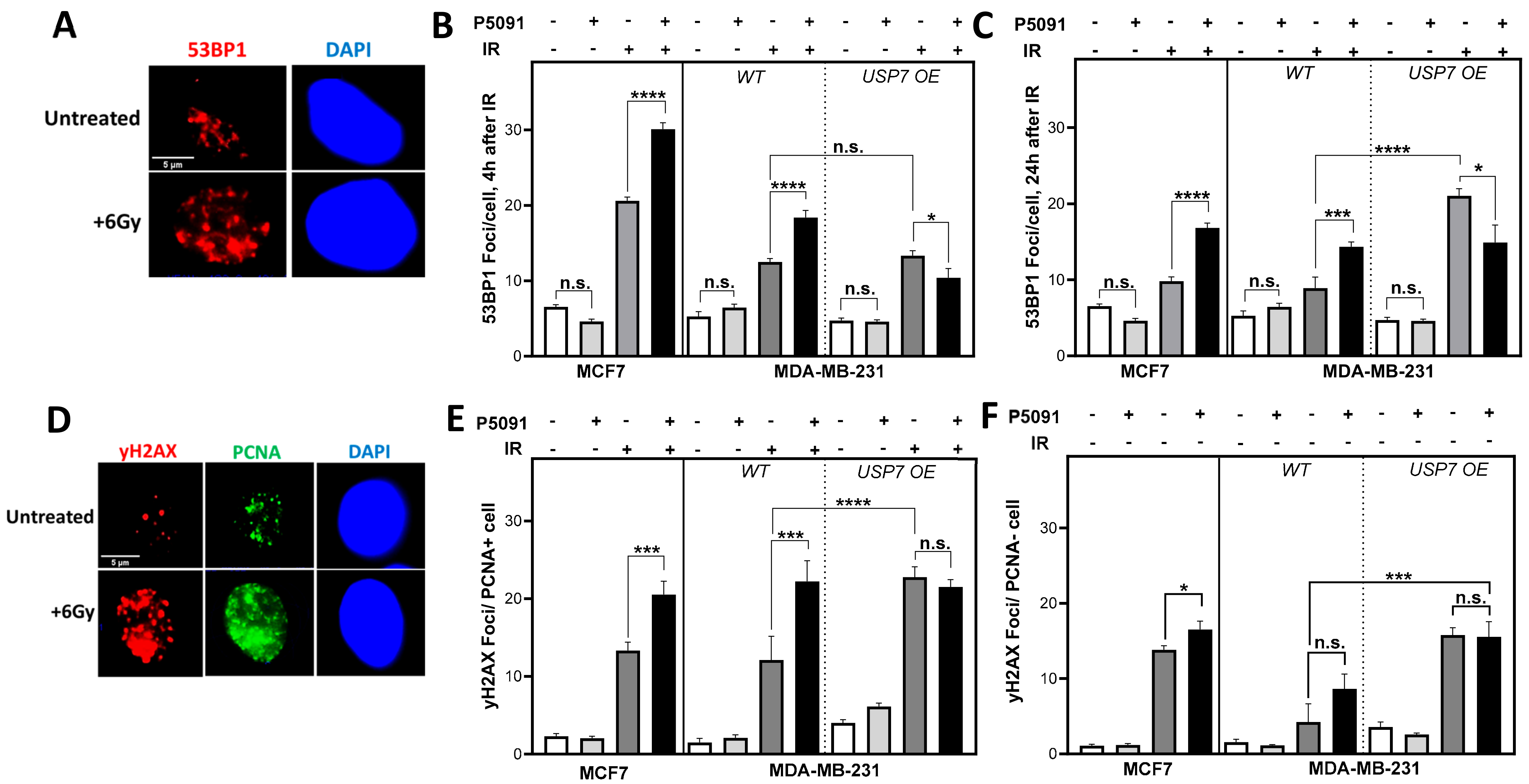 Biomedicines 12 00762 g003