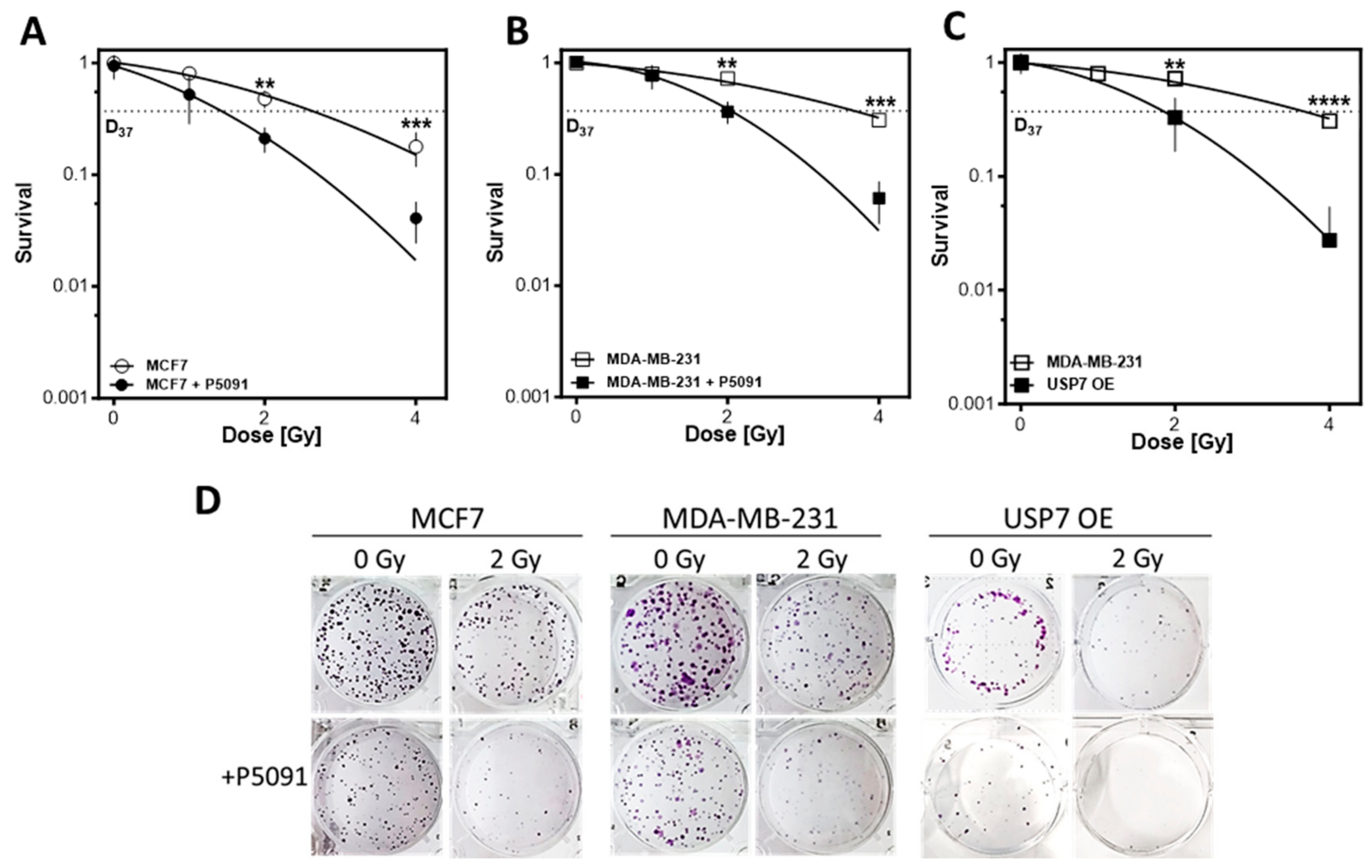 Biomedicines 12 00762 g005