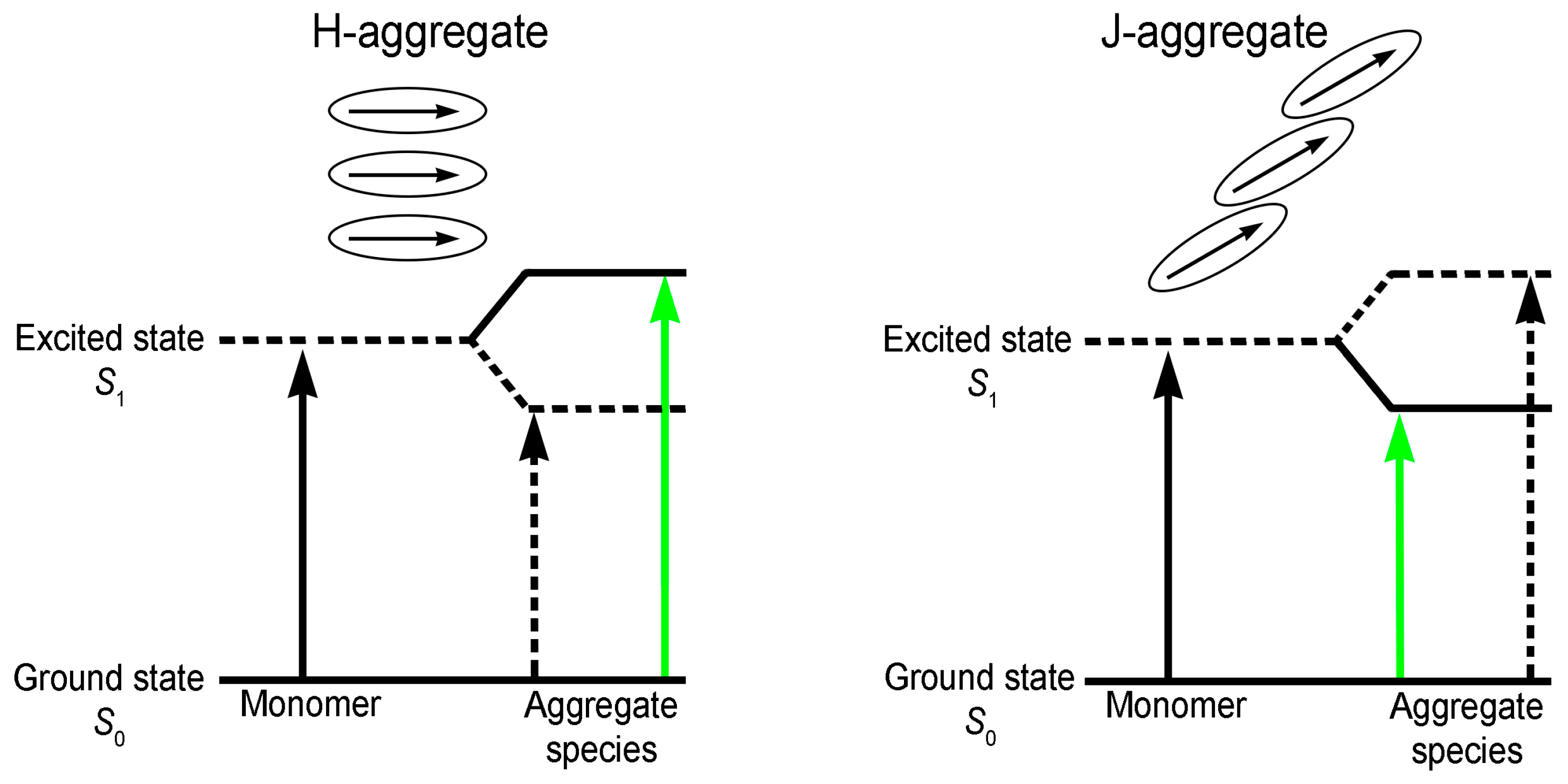 Biomedicines 12 00770 g006 Biomedicines 12 00770 g006