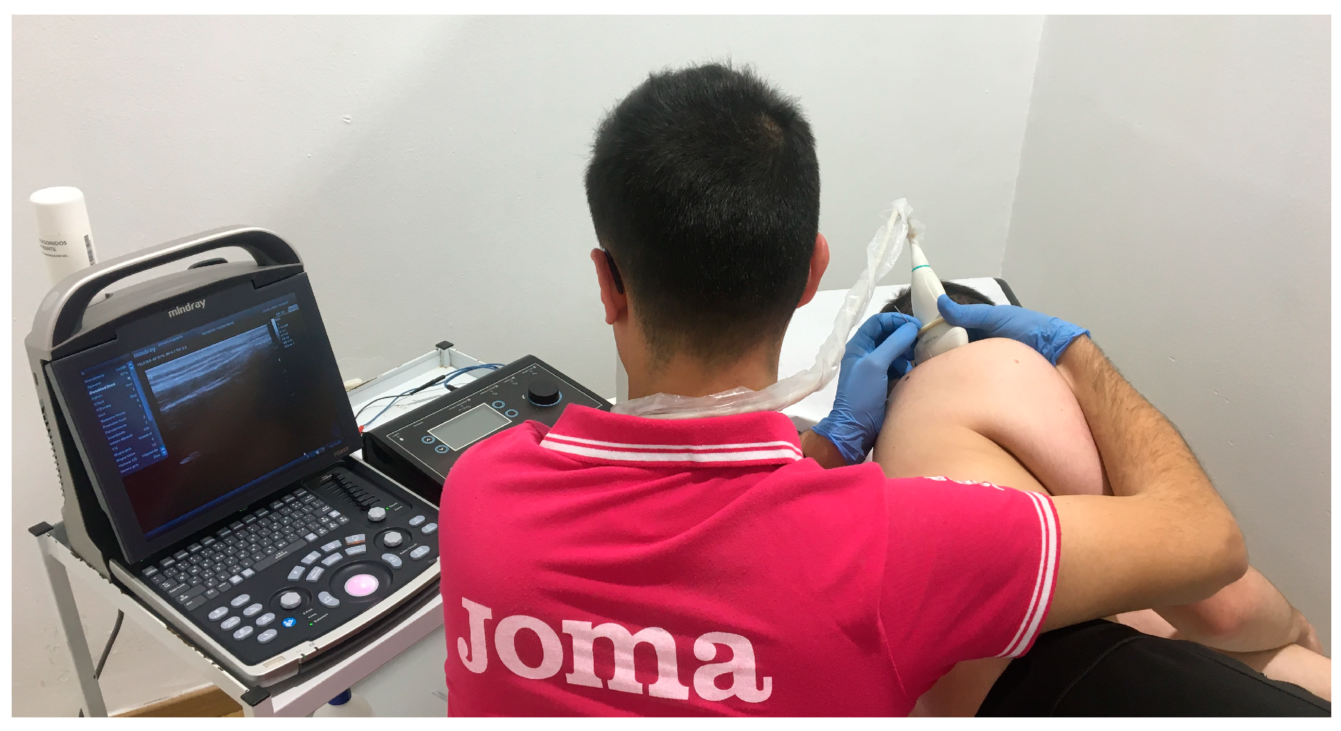 Biomedicines 12 00771 g003