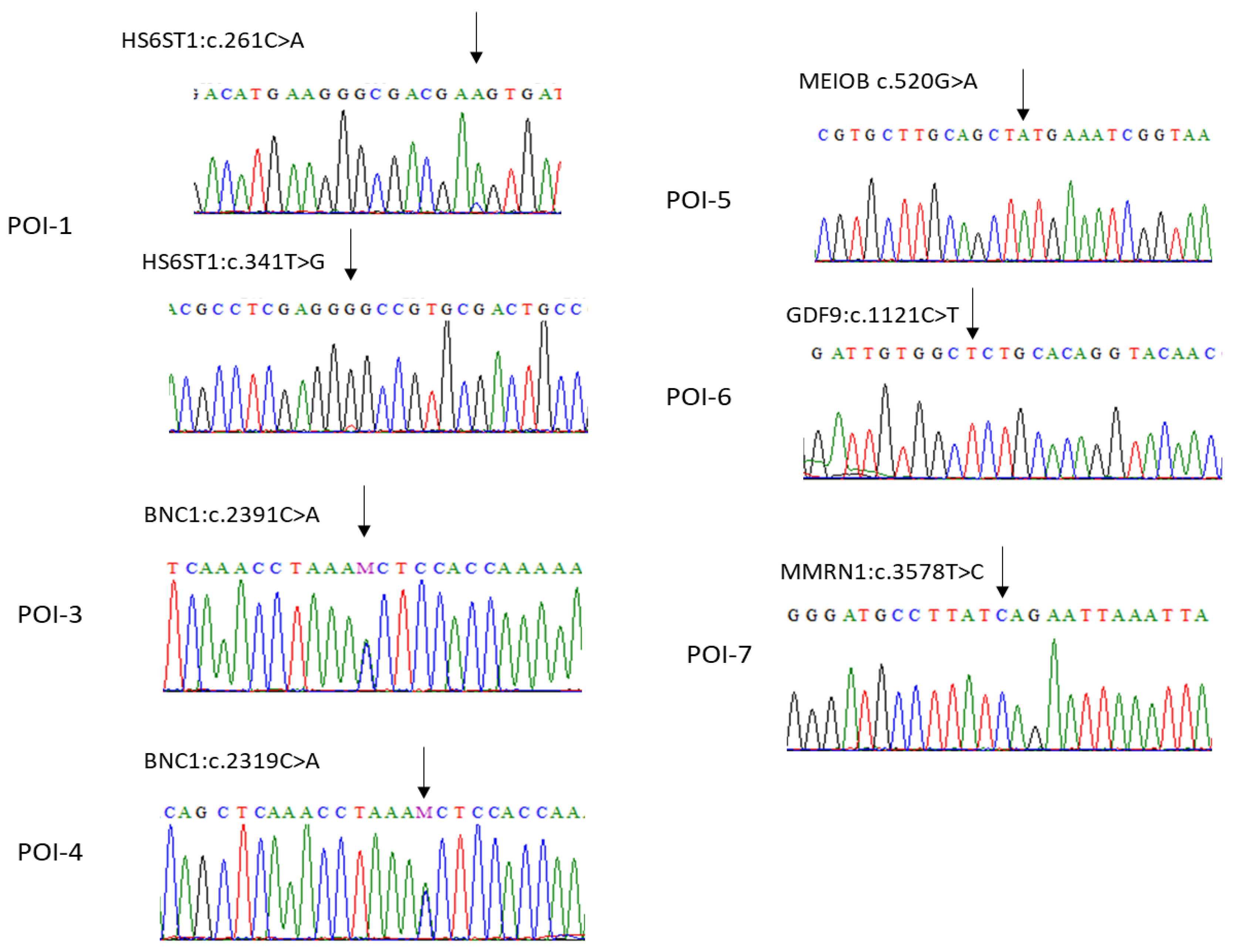 Biomedicines 12 00785 g001
